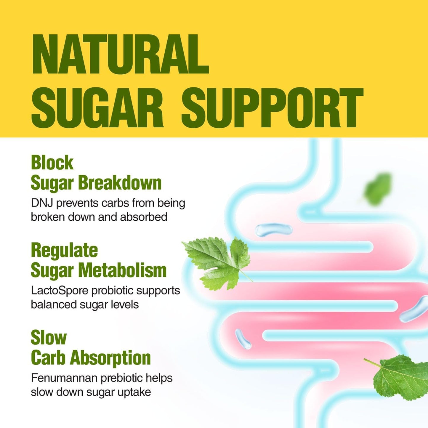 organic-mulberry-leaf-extract-capsules-with-probiotic-prebiotic-for-carb-cravings-support---vegetarian-non-gmo-7