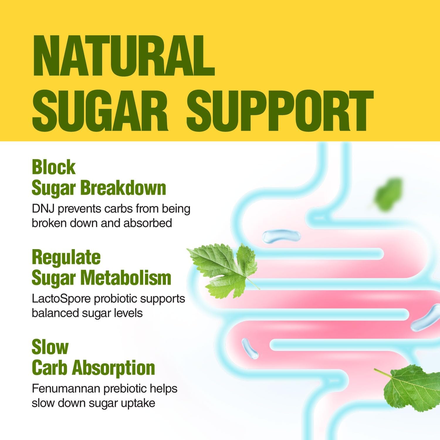 organic-mulberry-leaf-extract-capsules-with-probiotic-prebiotic-for-carb-cravings-support---vegetarian-non-gmo-7