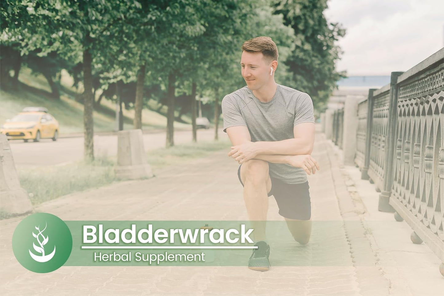 bladderwrack-capsules---100-count---pure-ingredients-no-additives-lab-verified-5