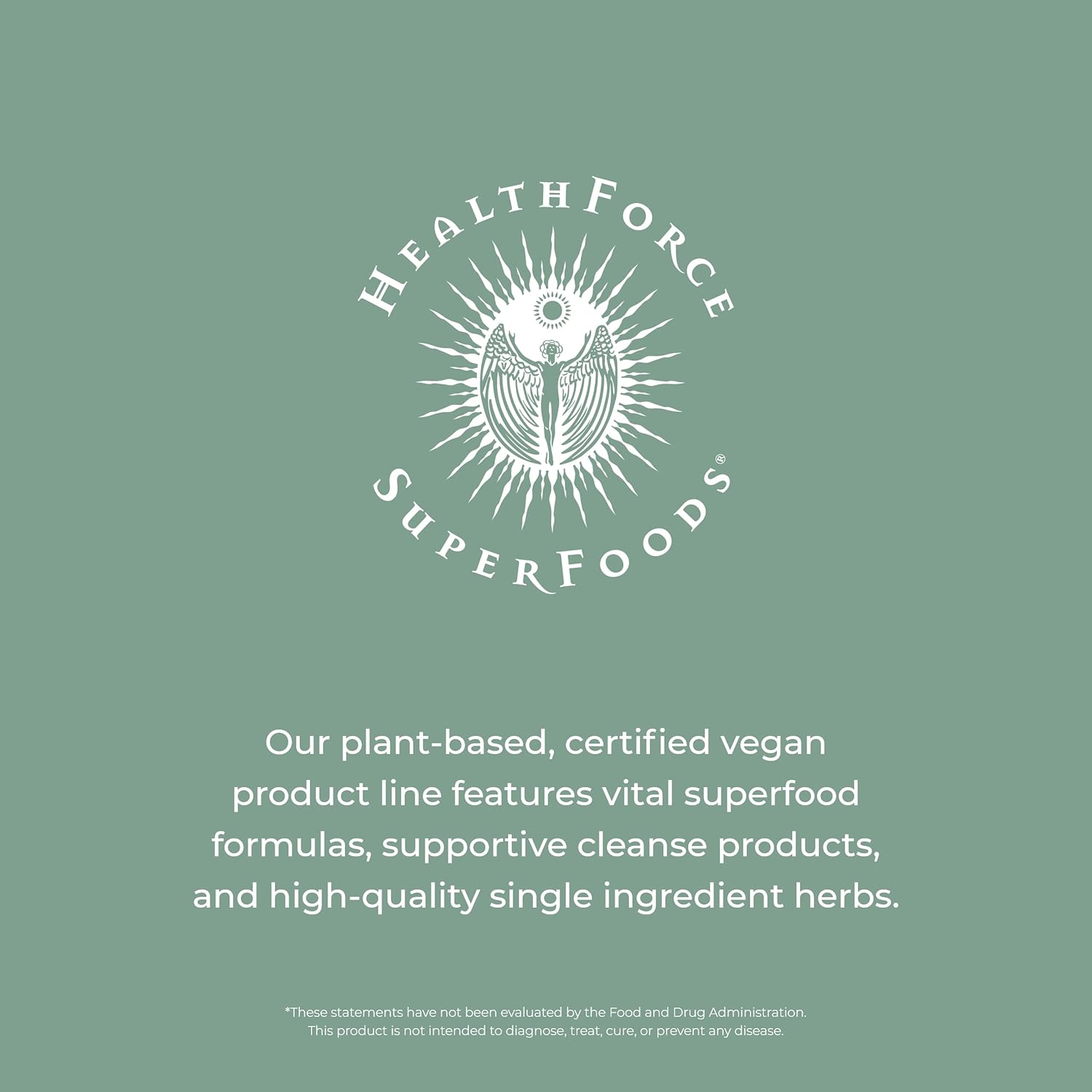 HealthForce SuperFoods Integrity Extracts Chaga Powder - 70g for Immune Support and Antioxidant Boost - Espot.com.au