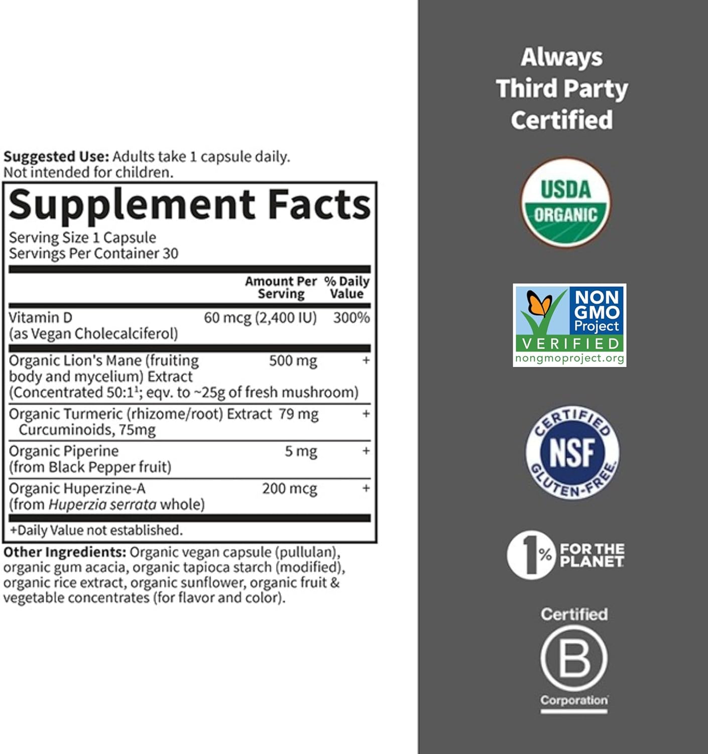 organic-lions-mane-turmeric-brain-health-supplement-for-memory-and-focus---gluten-free-mint-flavor-with-non-gmo-ingredients-2