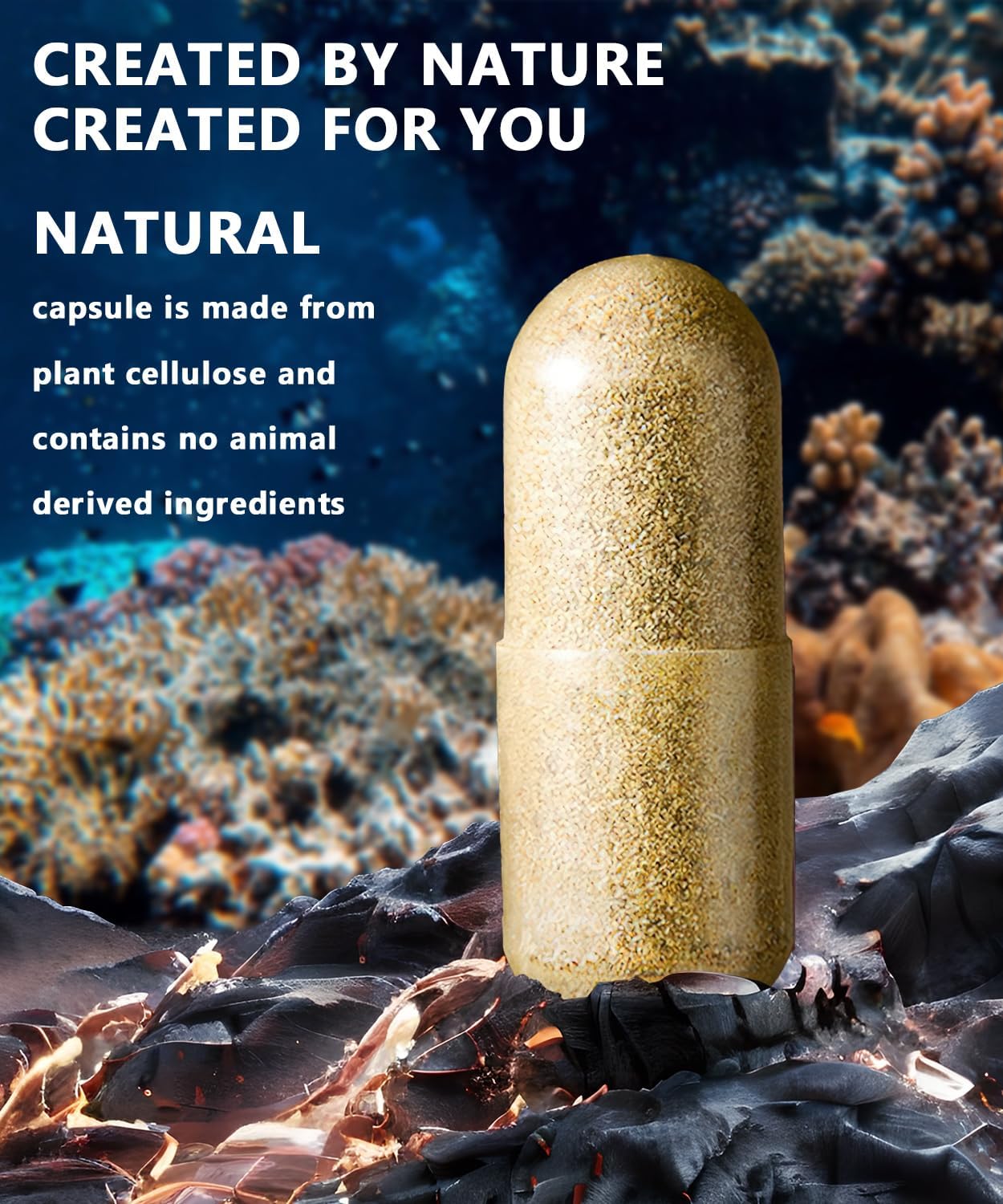 organic-sea-moss-ashwagandha-black-seed-oil-capsules---150-capsules-multivitamin-supplement-from-aiorber-6