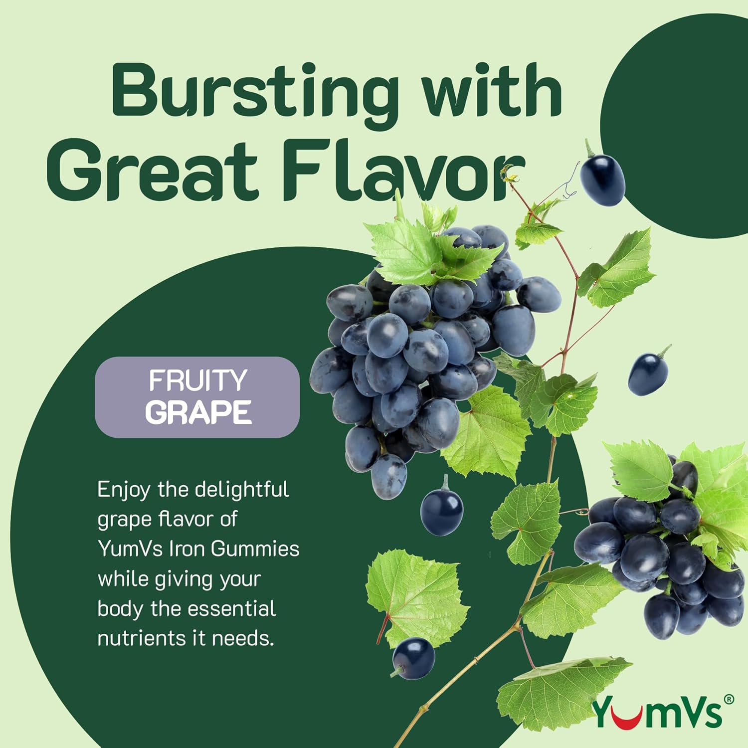 grape-flavor-iron-gummies-with-vitamin-c---10-mg-chewable-blood-builder-supplement---kosher-gluten-free---60-count-pack-4