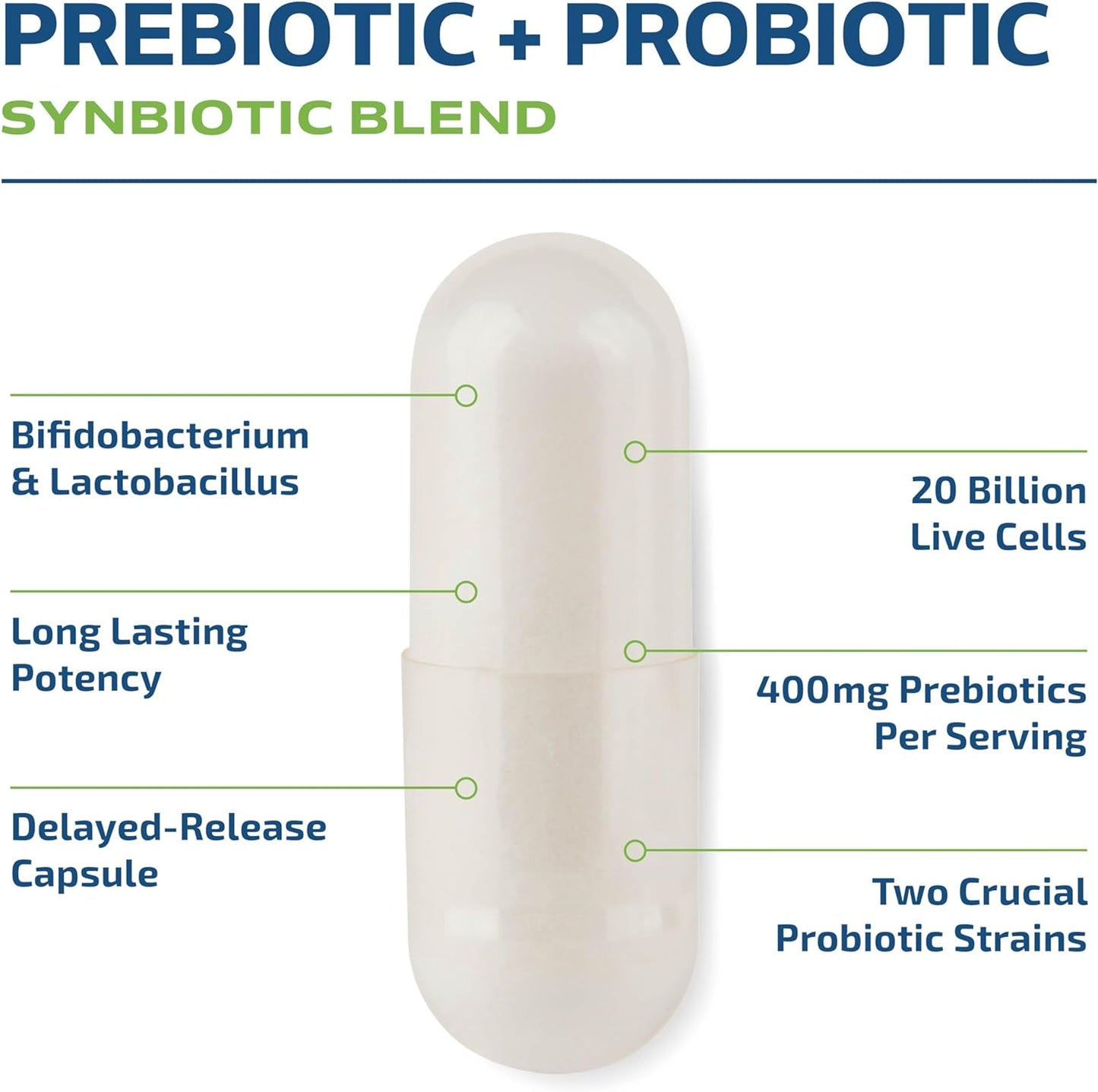 prebiotic-and-probiotic-supplement-for-gut-health-and-bloating-relief---60-ct-shelf-stable-capsules-with-20-billion-cfu-lactobacillus-bifidobacterium---vegetarian-formula-for-men-and-women-by-mav-nutrition-5