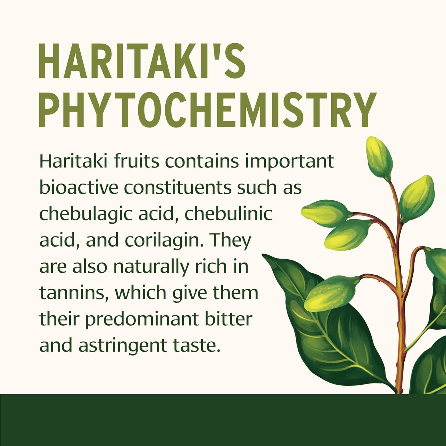 certified-organic-haritaki-tablets-for-detoxification-rejuvenation---90-tablets-non-gmo-fair-trade-3