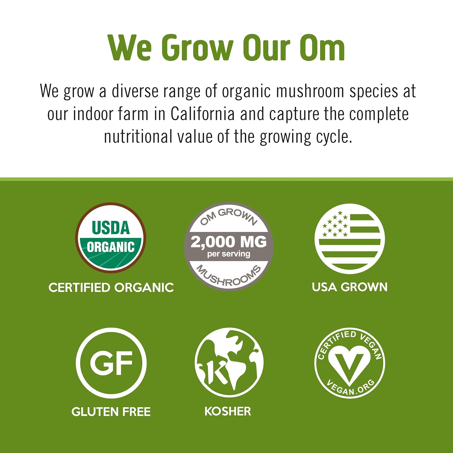 om-mushroom-superfood-matcha-latte-blend-powder---847oz-canister---30-servings---green-tea-with-lions-mane-reishi-chaga-turkey-tail---focus-stress-support-supplement-4