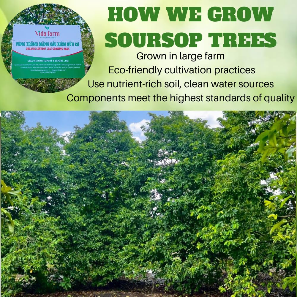 organic-dried-soursop-leaves-tea---155-premium-graviola-guanabana-herbal-tea---natural-whole-soursop-leaf-tea---hojas-de-guanabana-para-te---soursop-tea-leaves-7