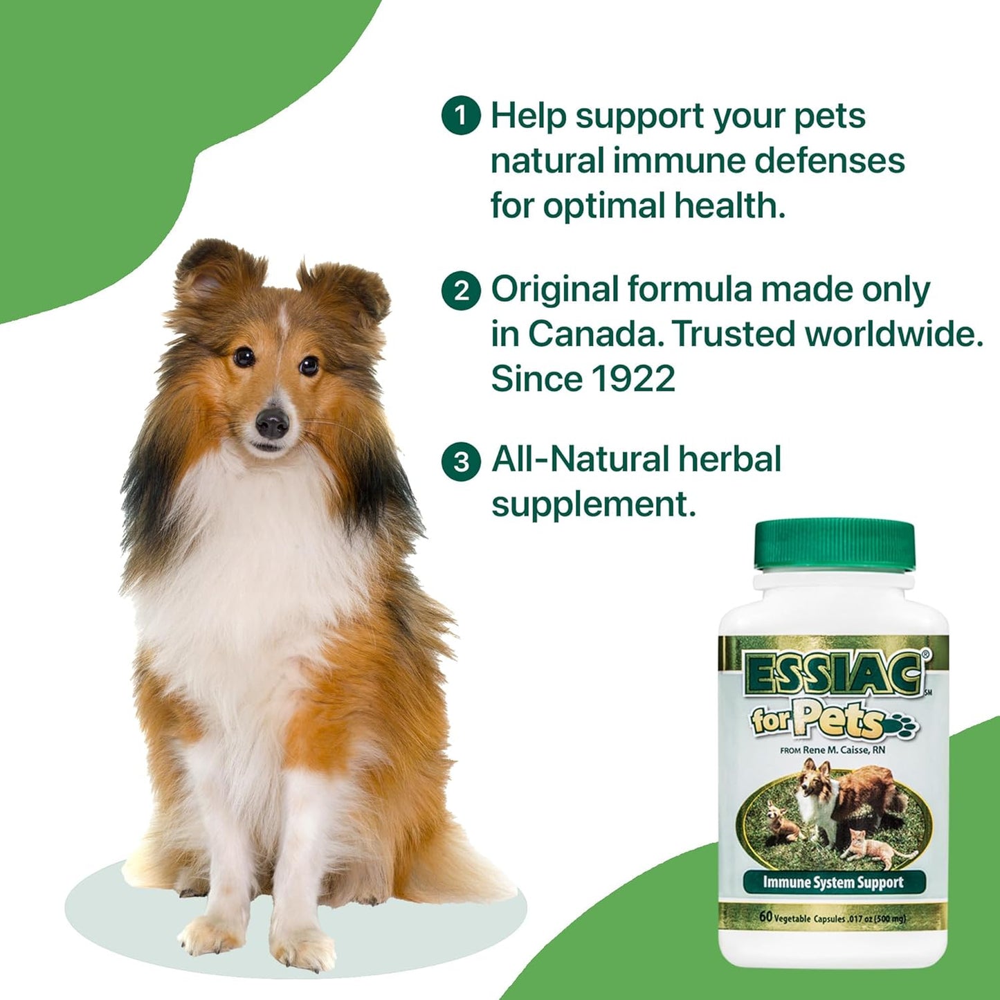 essiac-international-herbal-supplement-for-pets---natural-support-for-your-furry-friends-60-capsules-2
