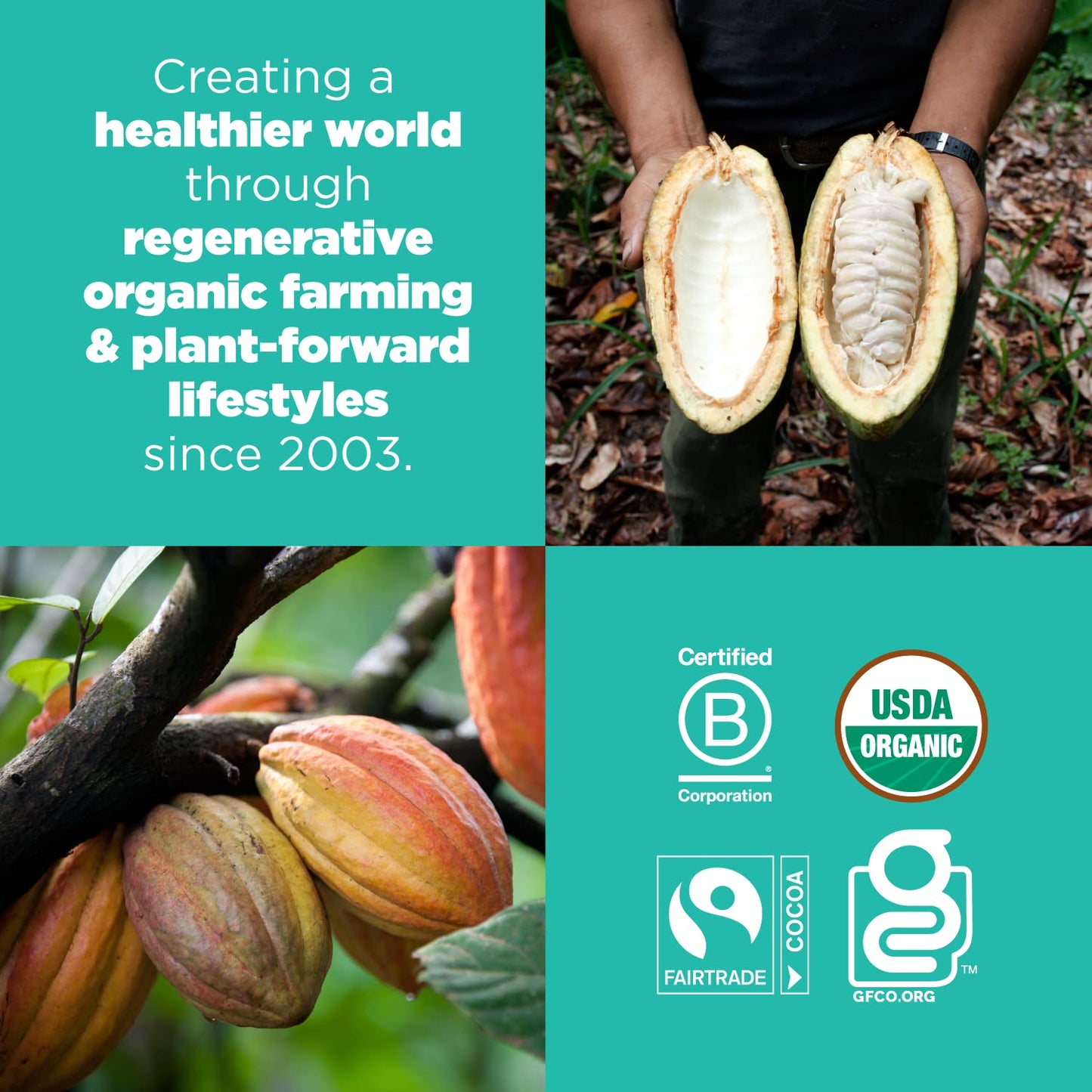 organic-chocolate-cacao-power-snacks-by-navitas-organics---8oz-bag-gluten-free-non-gmo-superfood-snacks-6