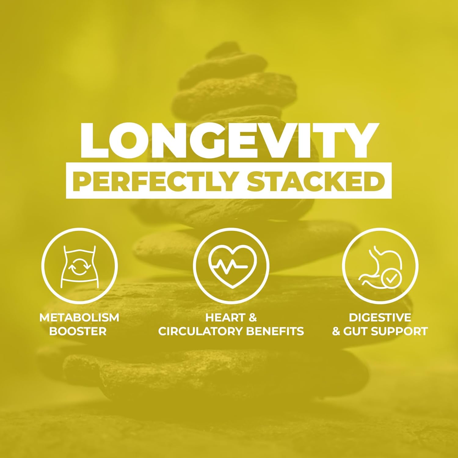 Berberine with Cinnamon Capsules - Supports Healthy Metabolism - Non-GMO, Gluten-Free Supplement - 25 Capsules - Espot.com.au