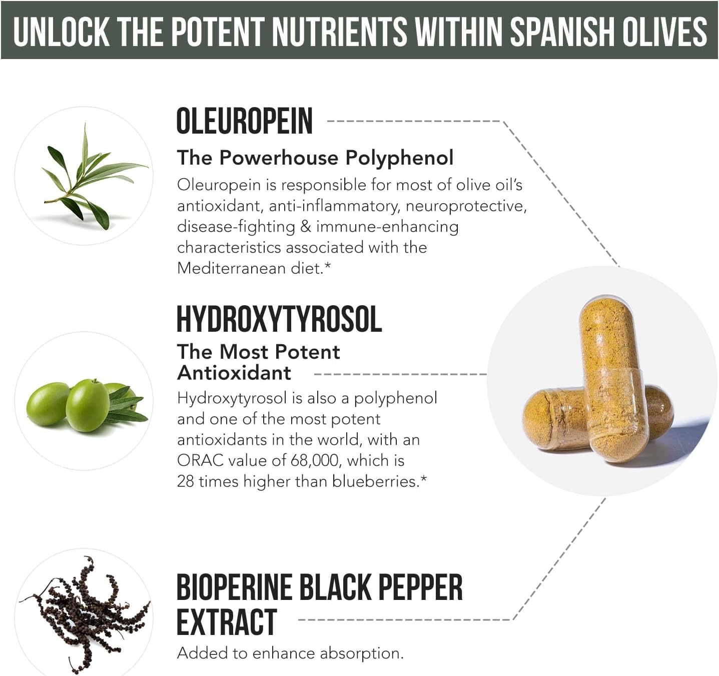 Triquetra Health Total Olive® - Spanish Grown Full Spectrum Olive Leaf & Fruit Extracts with BioPerine - High Oleuropein & Hydroxytyrosol - 60 Capsules - Espot.com.au