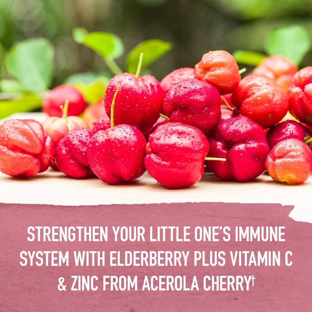 organic-elderberry-zinc-kids-immune-syrup-with-vitamin-c-echinacea---alcohol-free-no-added-sugars---392-fl-oz-5