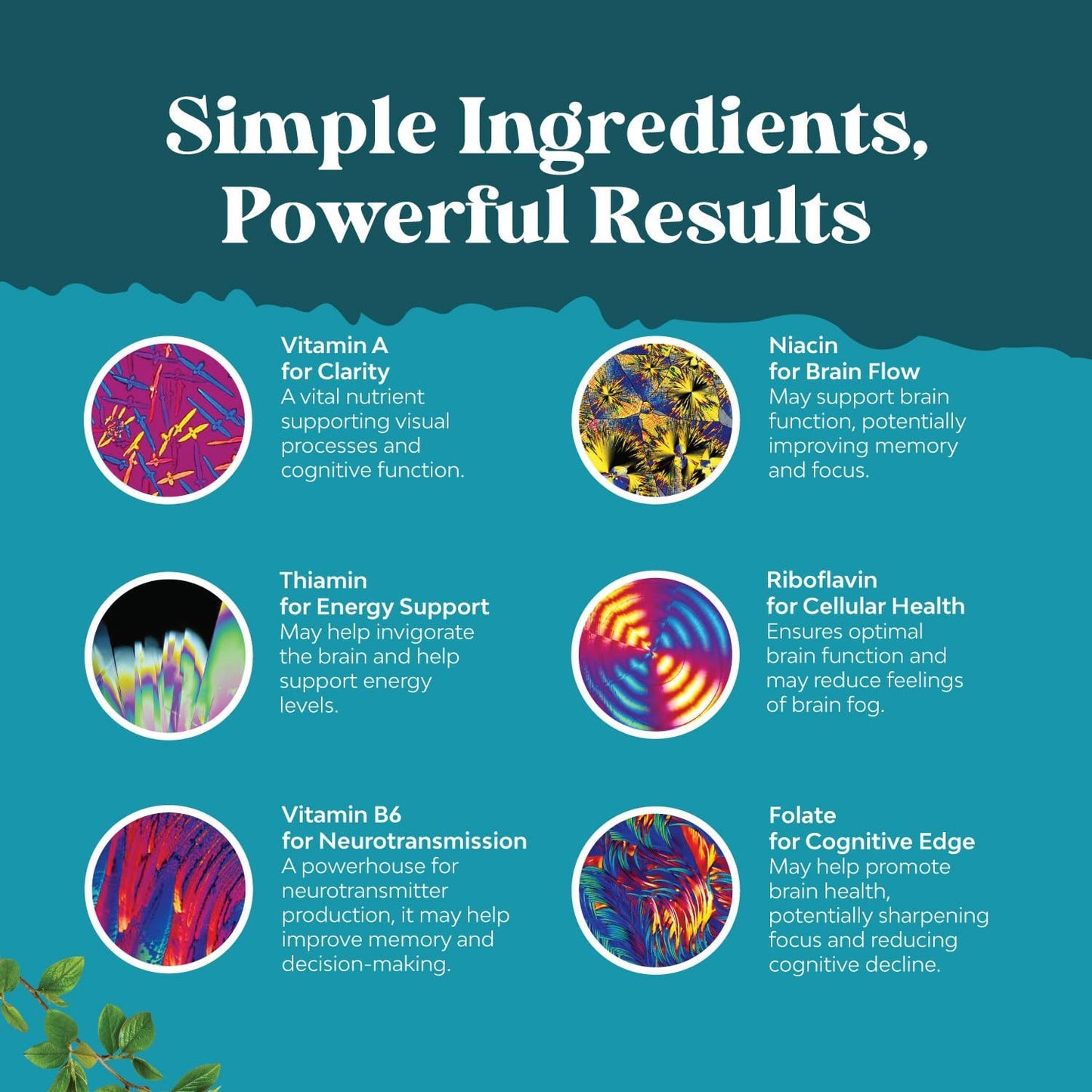 natures-design-nootropics-brain-support-supplement---boost-mental-energy-and-focus-with-brain-vitamins-for-cognitive-enhancement---mind-and-memory-enhancer-for-brain-health-30-servings-5