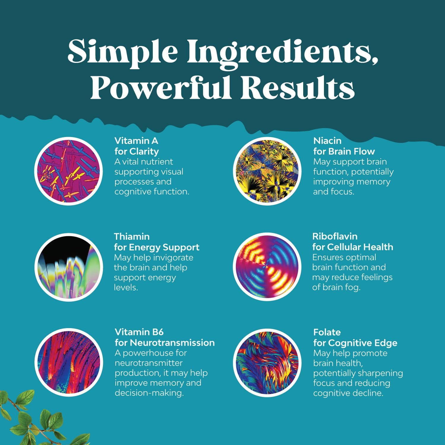 natures-design-nootropics-brain-support-supplement---boost-mental-energy-and-focus-with-brain-vitamins-for-cognitive-enhancement---mind-and-memory-enhancer-for-brain-health-30-servings-5