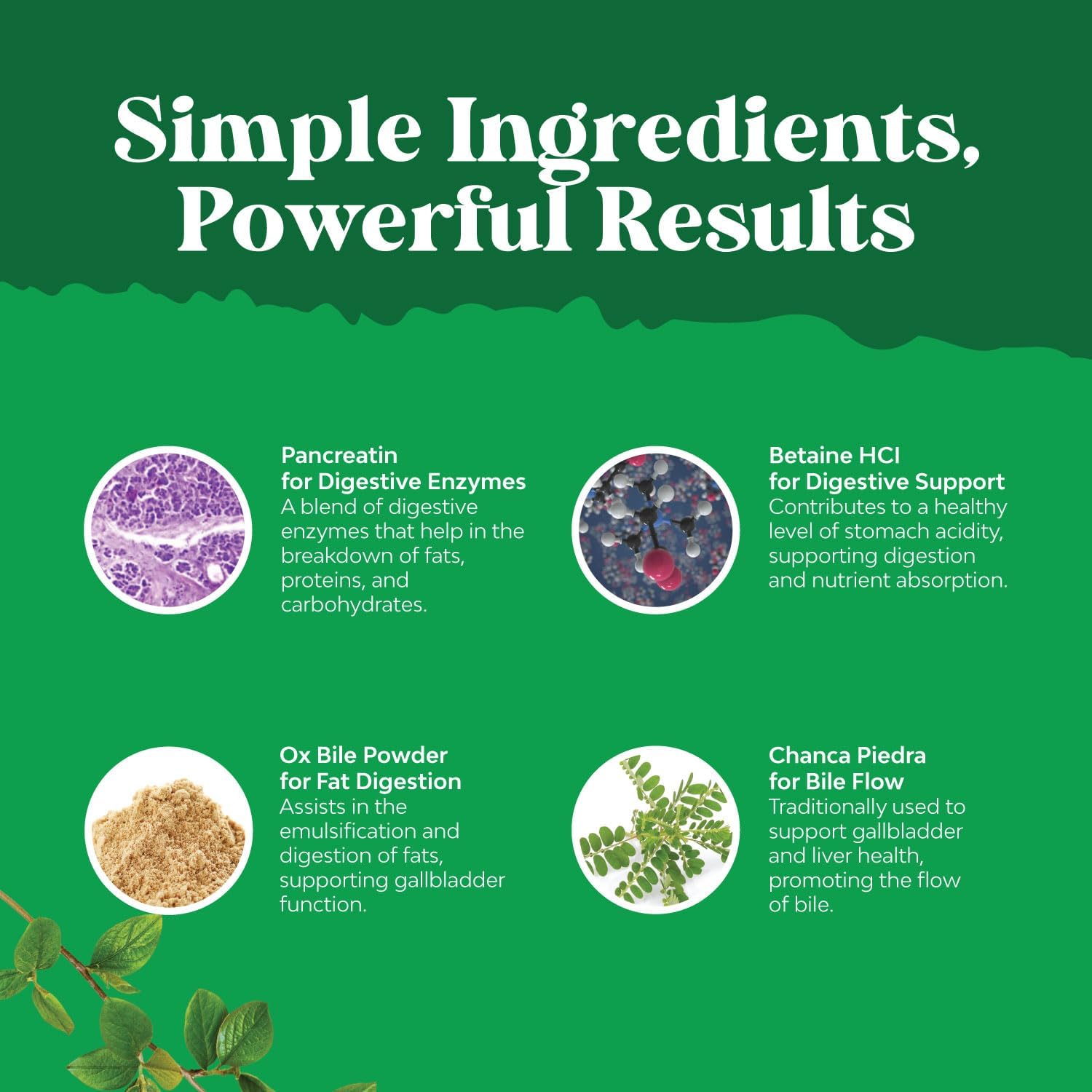 purified-ox-bile-salts-supplement-with-pancreatin-betaine-hcl---digestive-enzymes-for-gallbladder-support-and-health---2-month-supply-6