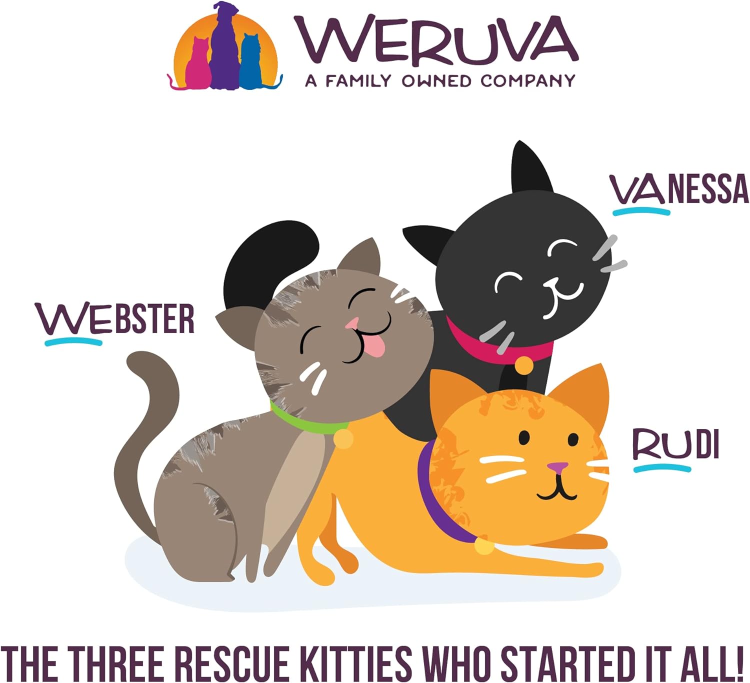 weruva-bff-play---best-feline-friend-pat-lovers-beef-tuna-flavor-28oz-can-pack-of-12-6