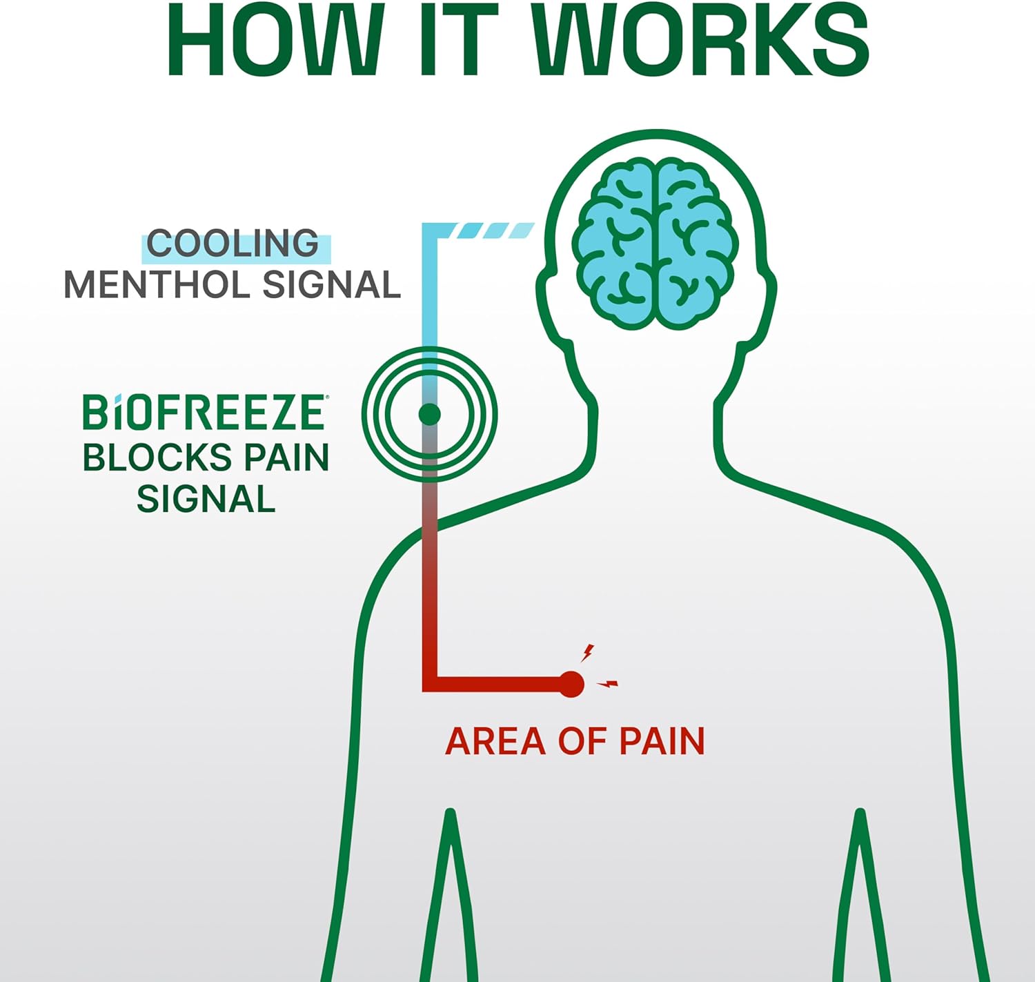 4-oz-biofreeze-professional-pain-relief-gel---fast-acting-muscle-and-joint-pain-relief-6