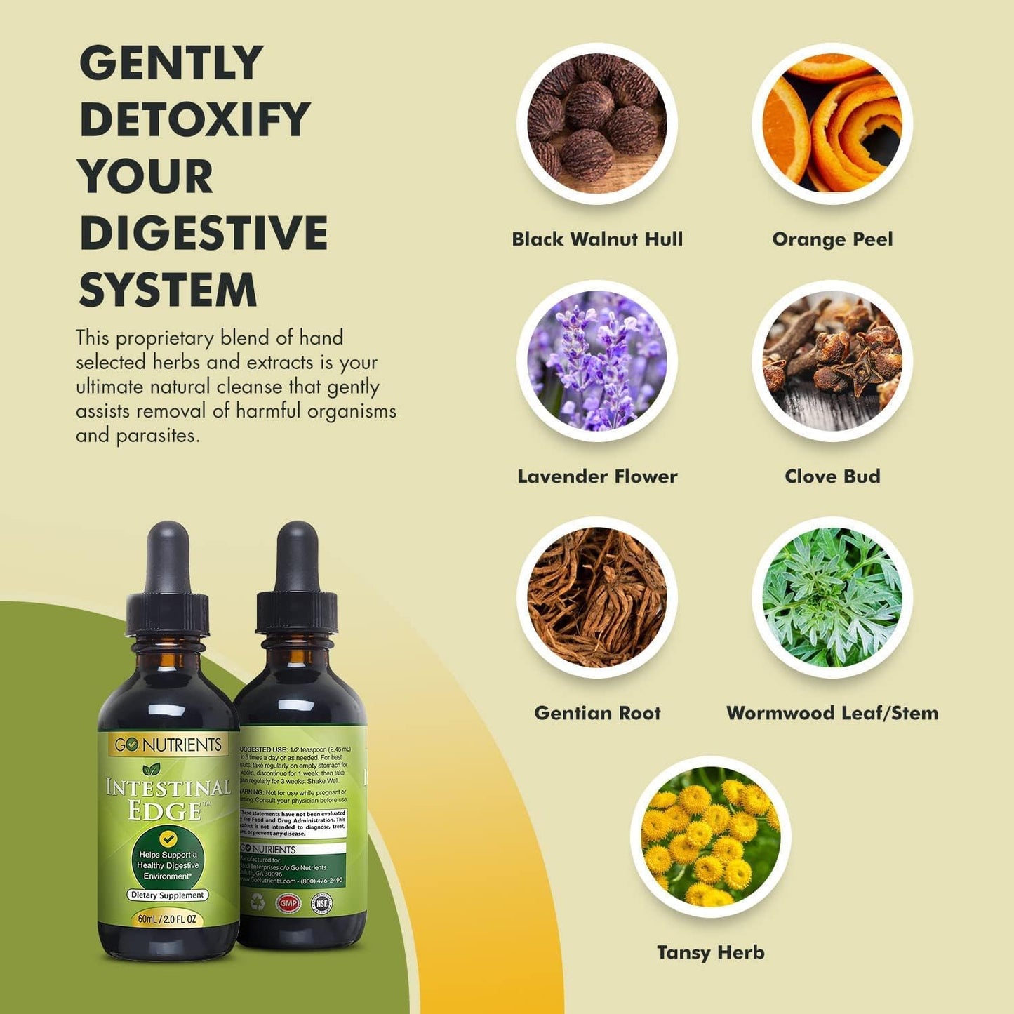 adrenal-intestinal-edge-liquid-drops---digestive-energy-supplement-with-9-herbs-for-adrenal-function-cortisol-management---non-gmo-gluten-free-3