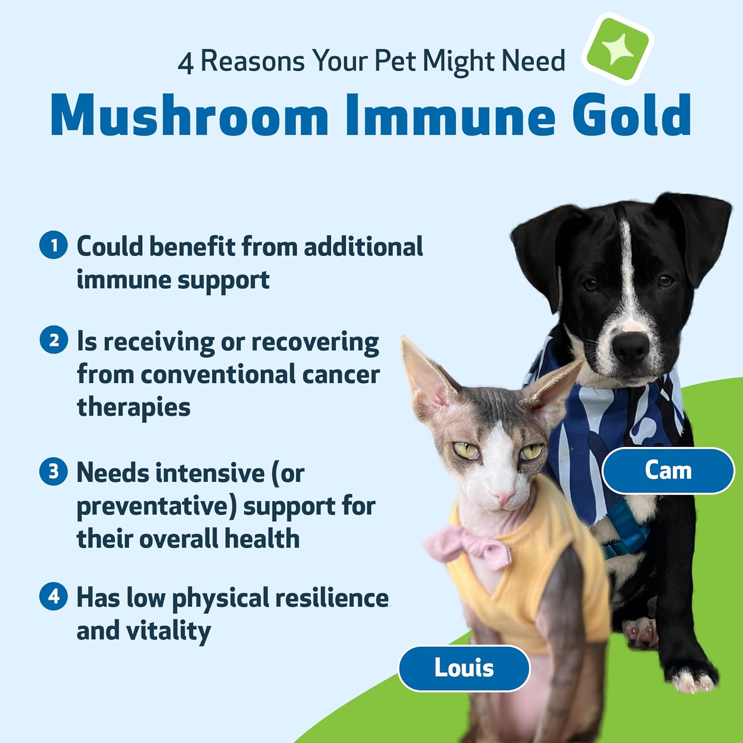 pet-wellbeing-immune-system-support-kit-with-mushrooms-for-dogs-cats---vet-formulated-for-antioxidant-protection---includes-turkey-tail-reishi-maitake-astragalus-3