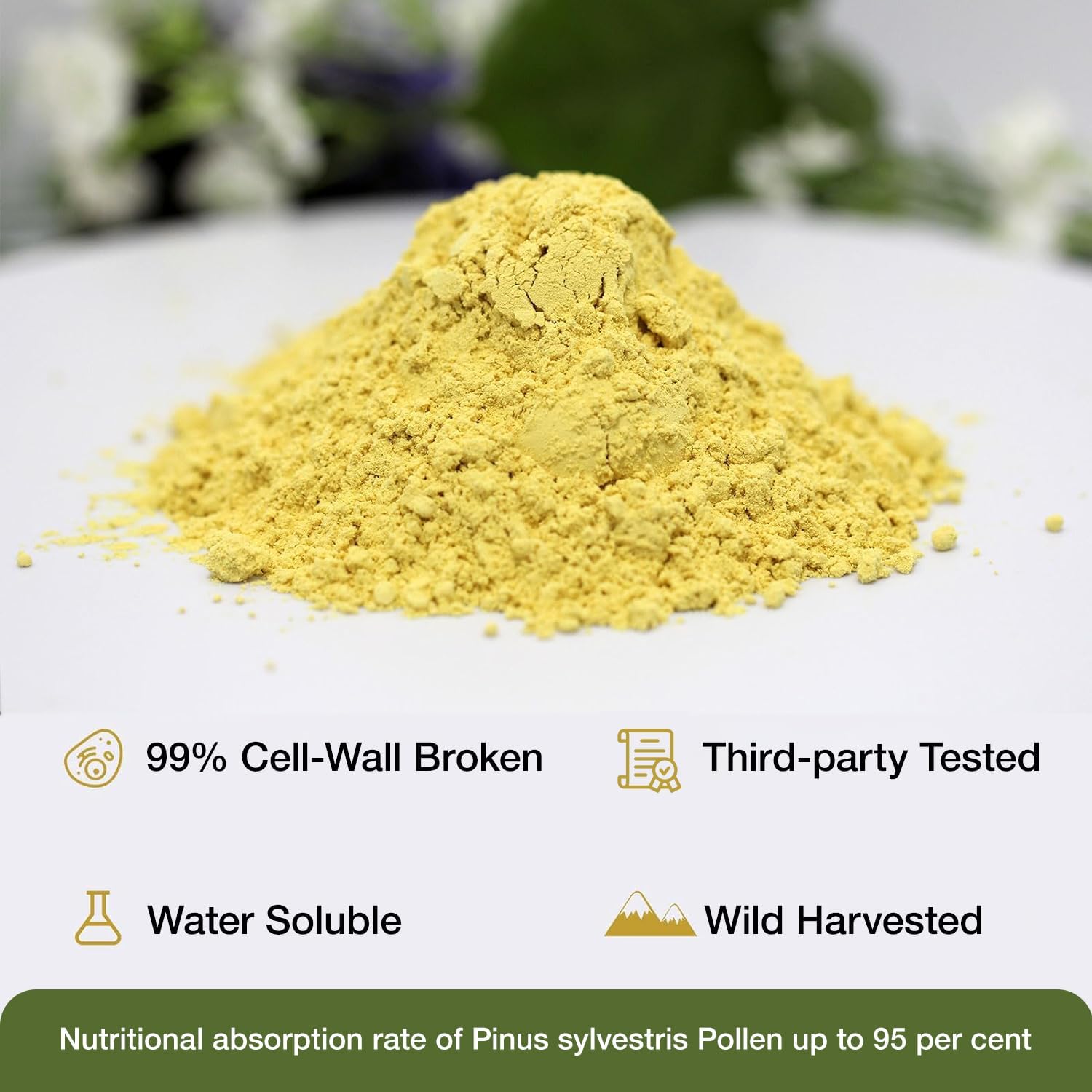6-oz-pine-pollen-powder---wild-harvested-pinus-tabuliformis-99-cracked-cell-wall---eco-taste-3