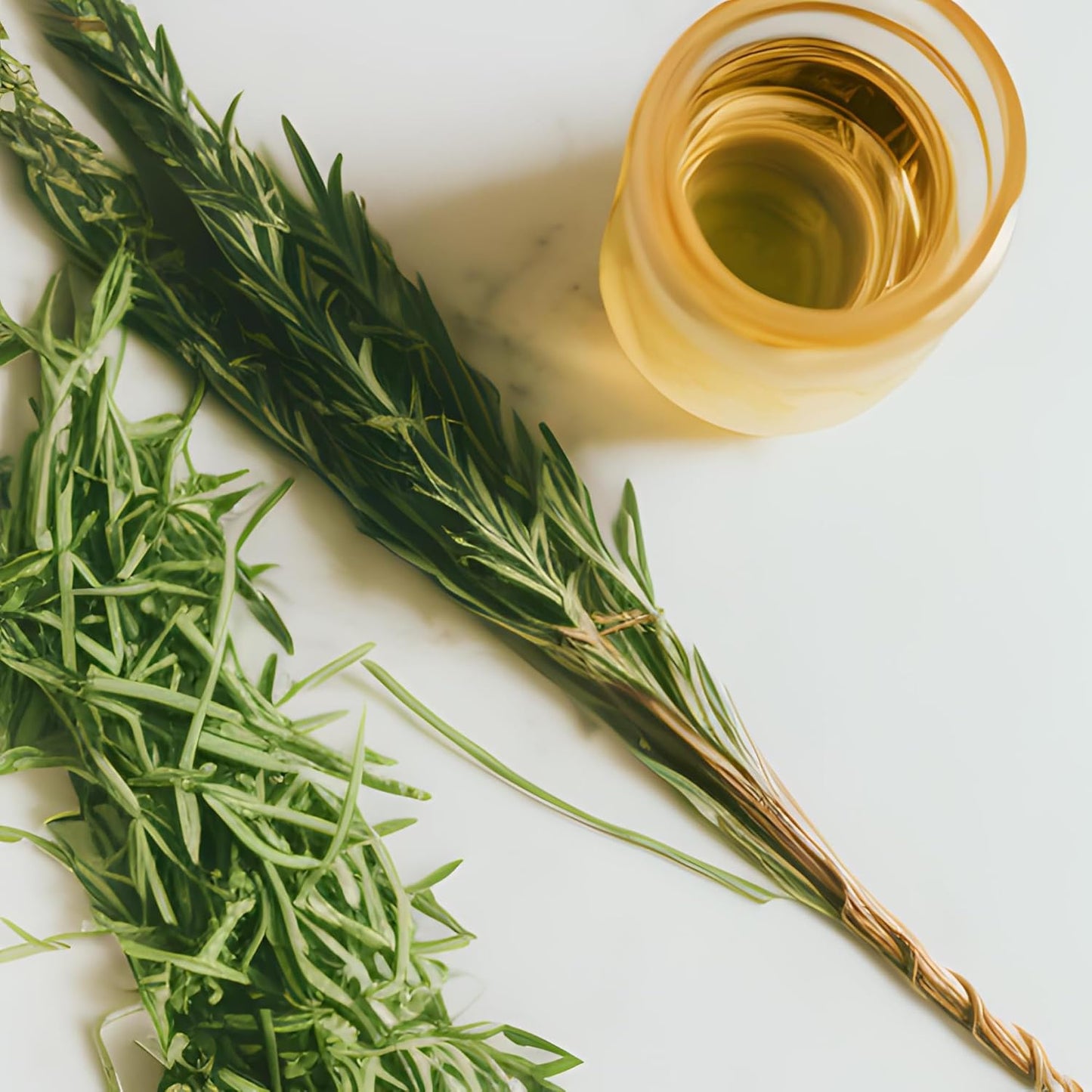 sanniti-french-tarragon-white-wine-vinegar---85-fl-oz---premium-quality-french-tarragon-vinegar-for-cooking-and-dressing-5