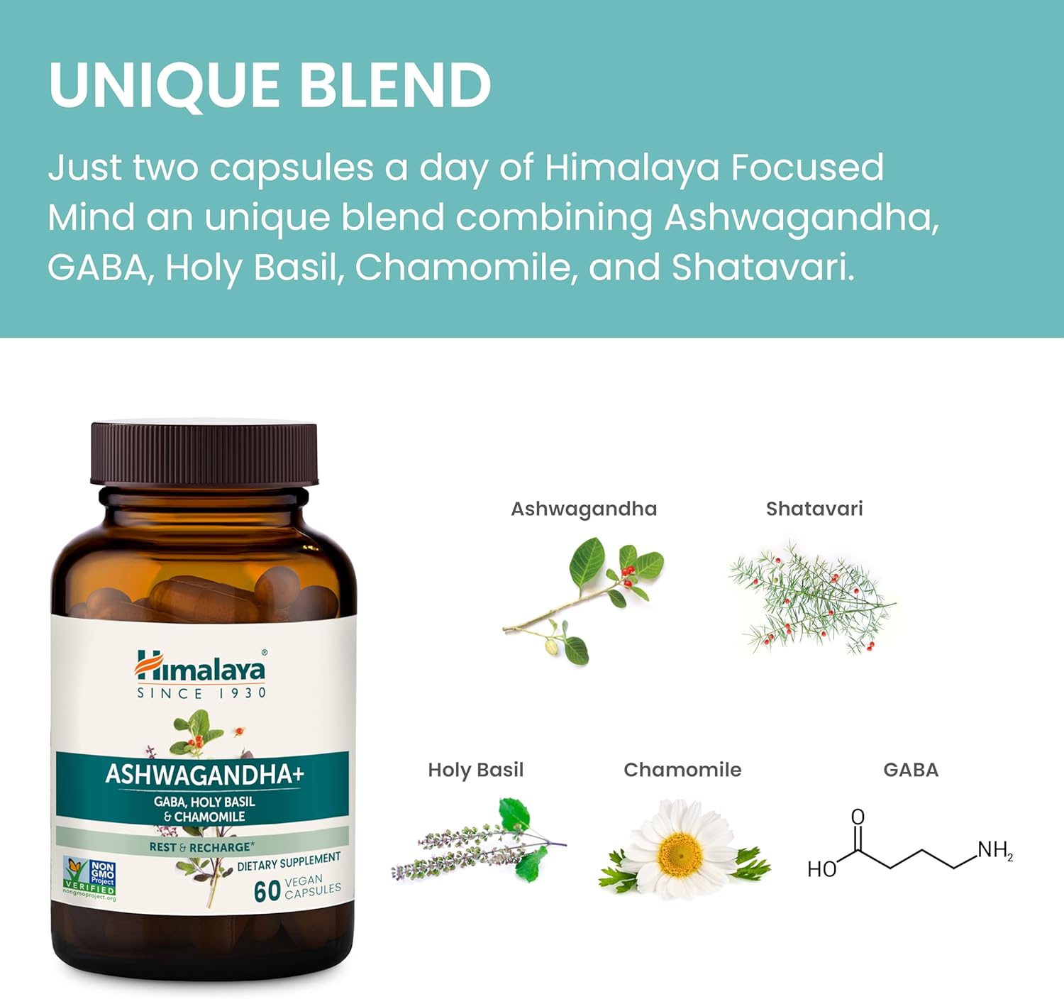 Himalaya Ashwagandha+ with GABA, Holy Basil & Chamomile - Stress Relief & Relaxation - Vegan, Gluten Free - 540mg, 60 Capsules - Espot.com.au