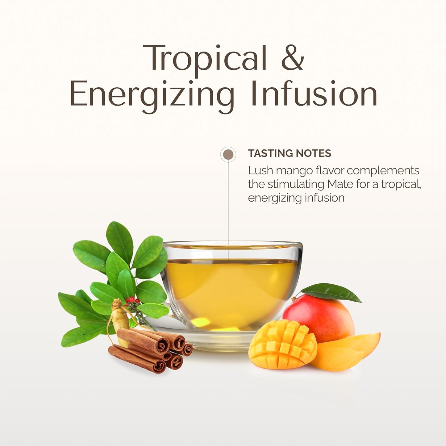 palermo-organic-yerba-mate-tea-bags---mango-mate-infused-with-cinnamon-orange-peel-licorice-root---antioxidant-rich-tropical-mango-flavor---20-count-sweet-spice-blend---vegan-gluten-free-unsmoked-2