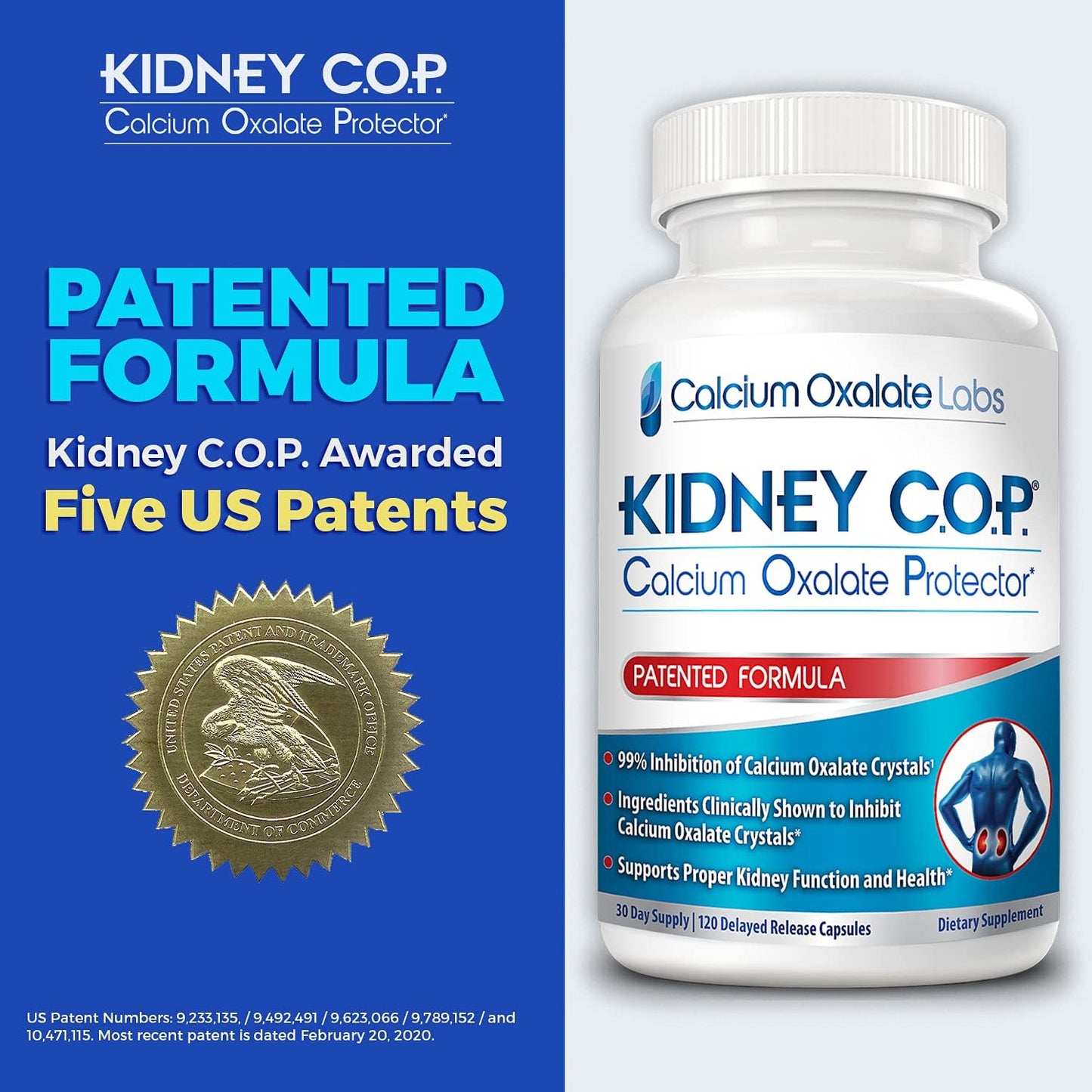 kidney-cop-calcium-oxalate-protector-120-capsules-for-kidney-support-and-preventing-calcium-oxalate-crystals-recurrence-5