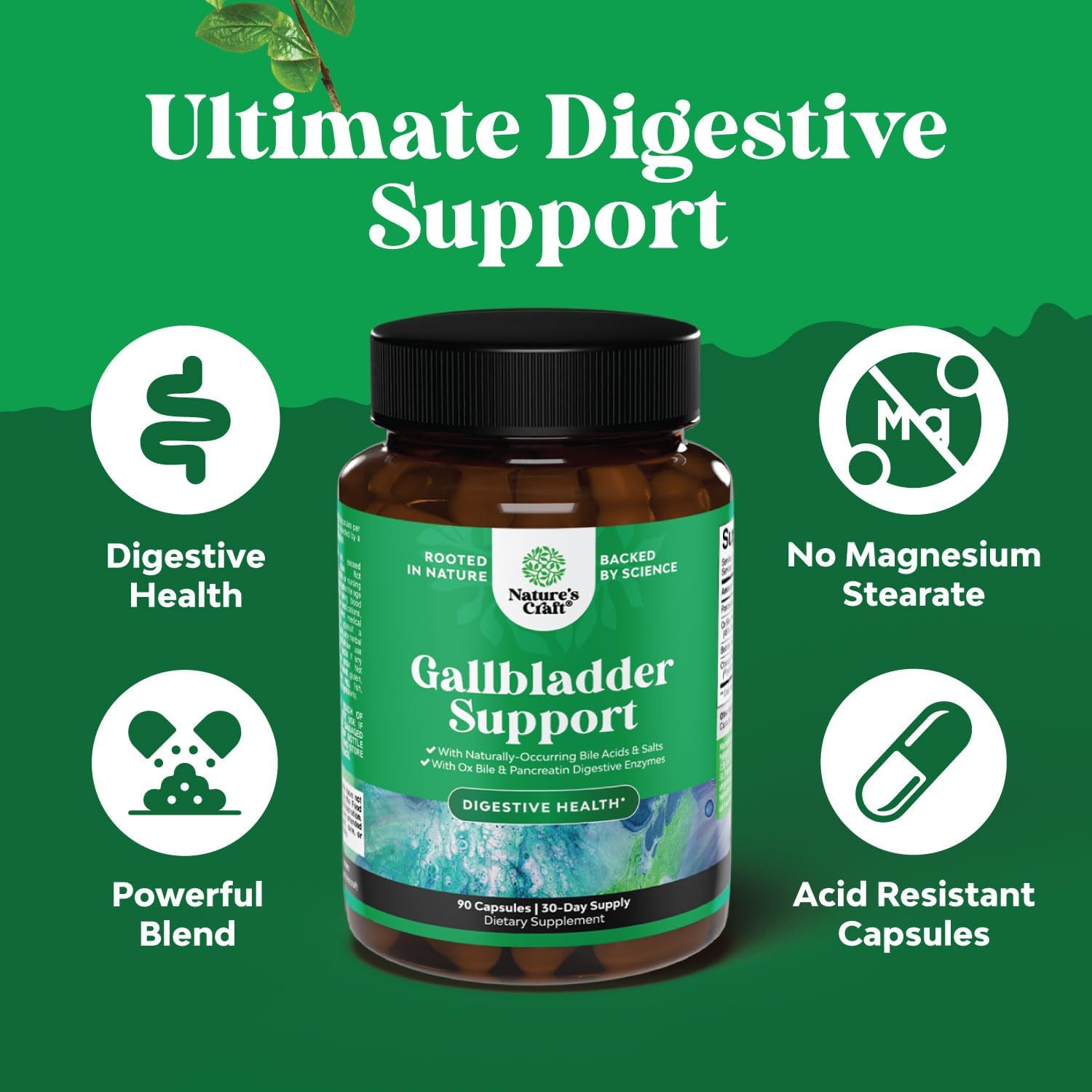 gallbladder-support-digestive-enzymes-with-ox-bile-salts---pancreas-cleanse-detox---digestion-supplement-with-purified-ingredients---90-capsules-5