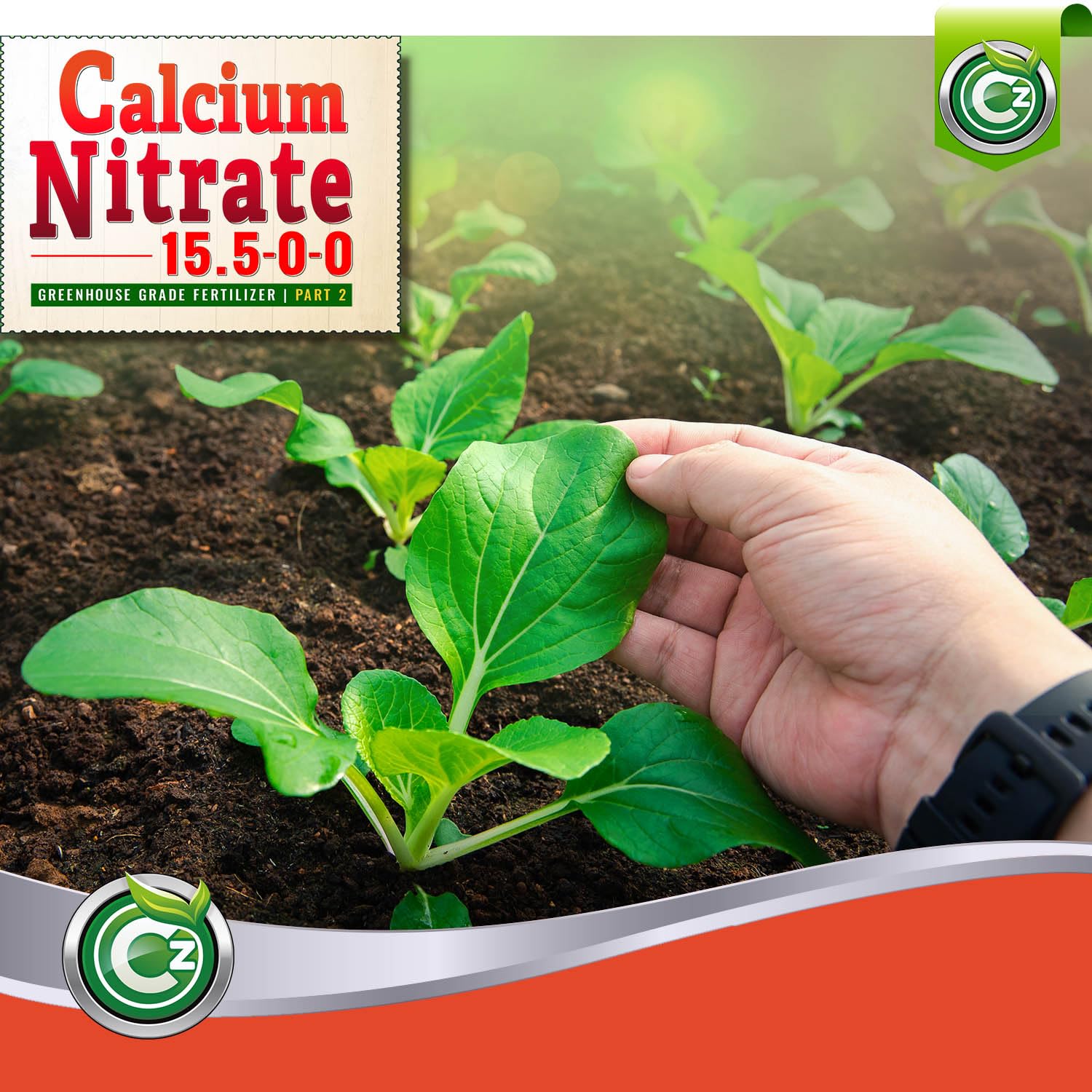 5lb-greenhouse-grade-calcium-nitrate-fertilizer-for-hydroponics-plants-gardens---made-in-usa---ideal-for-fruit-vegetables-and-blossom-end-rot-tomatoes-4