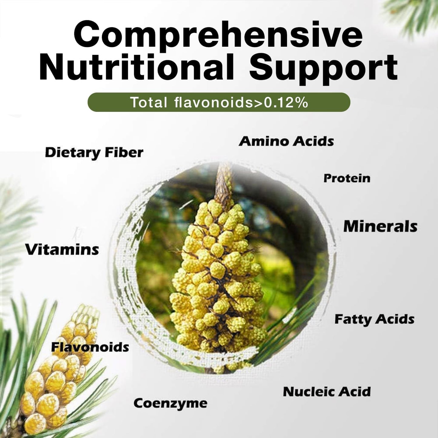 6-oz-pine-pollen-powder---wild-harvested-pinus-tabuliformis-99-cracked-cell-wall---eco-taste-4
