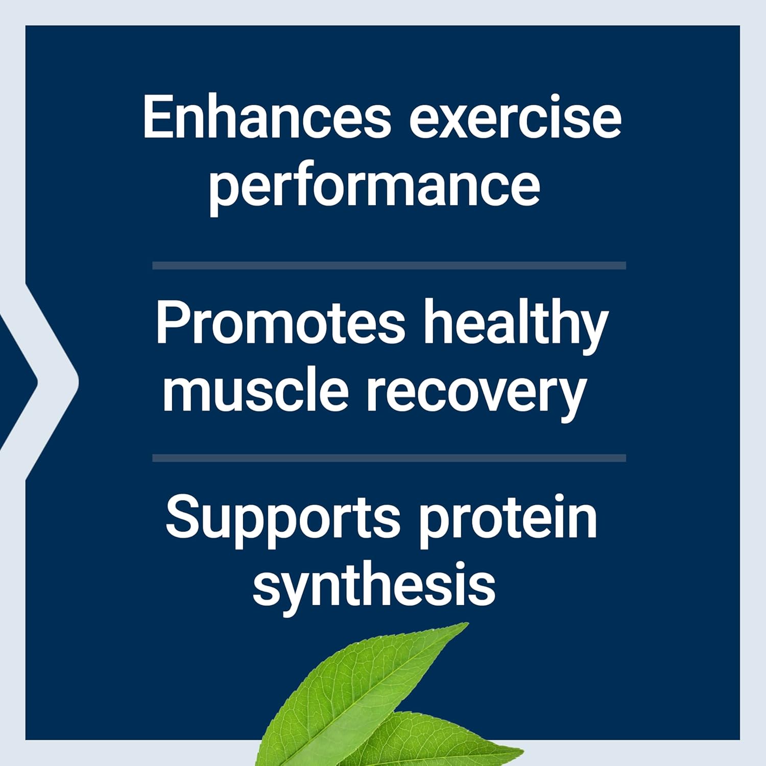 promote-muscle-recovery-life-extension-bcaa-supplement-gluten-free-non-gmo-90-capsules-4