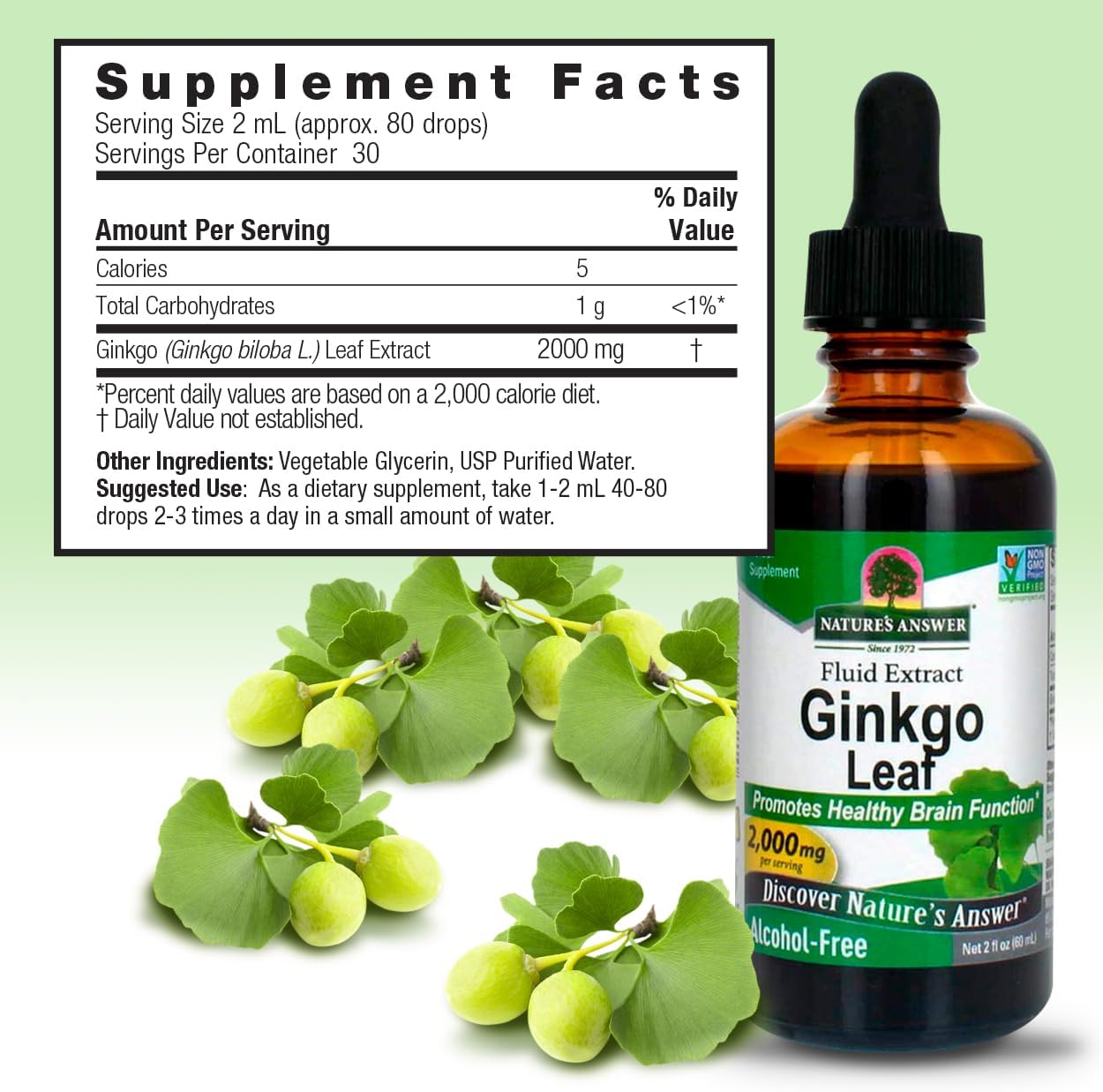 alcohol-free-ginkgo-leaf-extract-2000mg-for-memory-mood-concentration---2oz-gluten-free-kosher-preservative-free-single-count-3