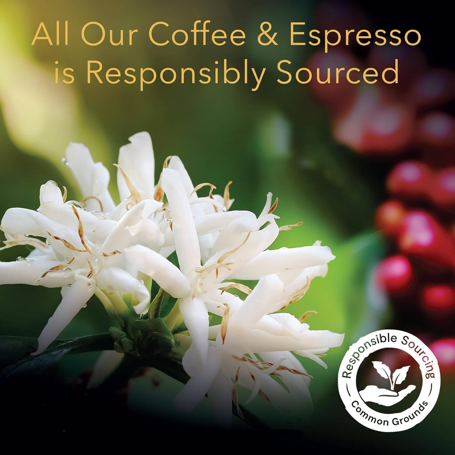 lor-espresso-capsules-50-count-ristretto-compatible-with-lor-barista-system-nespresso-machines-5