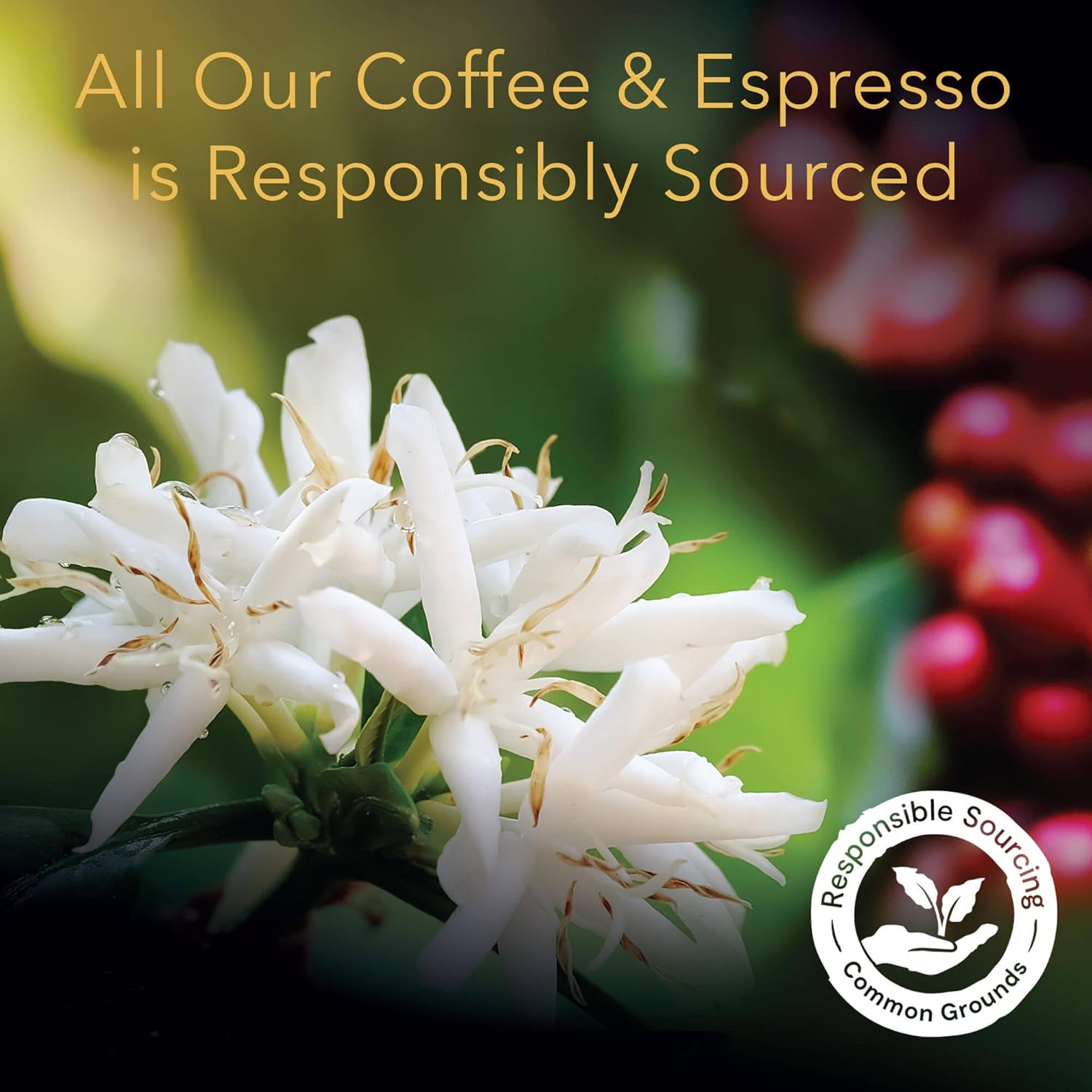 lor-espresso-capsules-50-count-ristretto-compatible-with-lor-barista-system-nespresso-machines-5