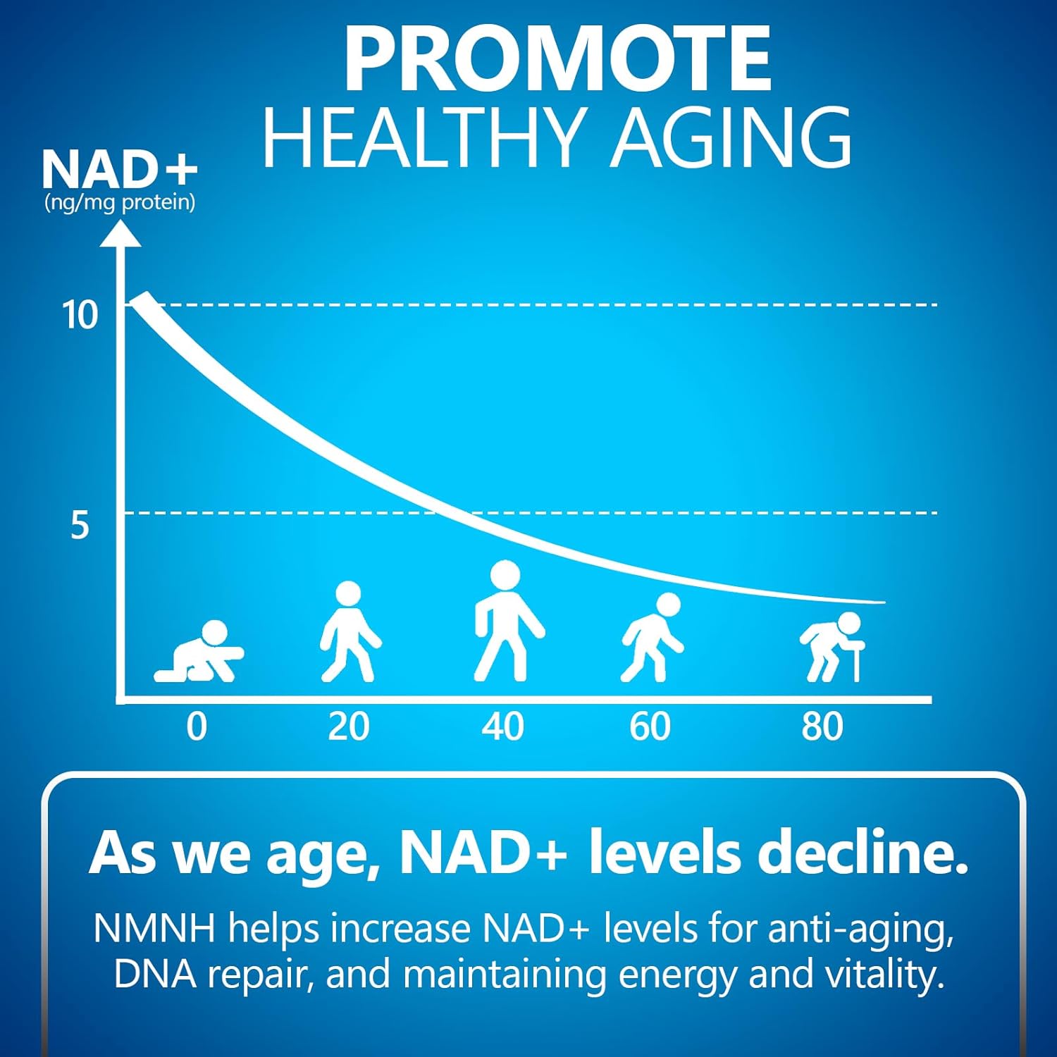 dihydronicotinamide-mononucleotide-nmnh-500mg---nad-supplement-for-anti-aging-energy---60-capsules---boost-nad-levels---aging-support-3