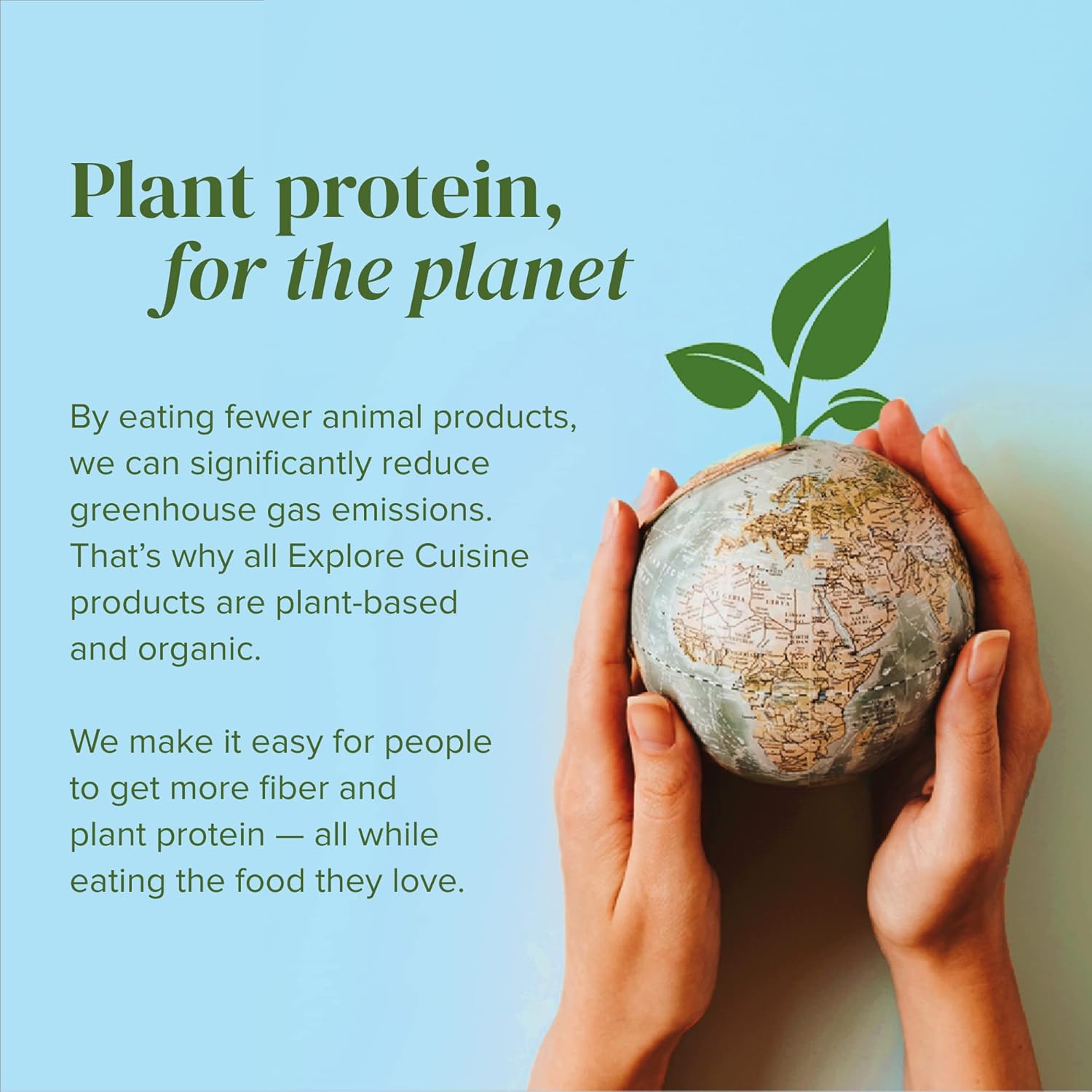 Organic Edamame & Mung Bean Fettuccine - 8 oz - High Protein Plant-Based Pasta - Non-GMO, Gluten Free - Easy to Cook - Espot.com.au