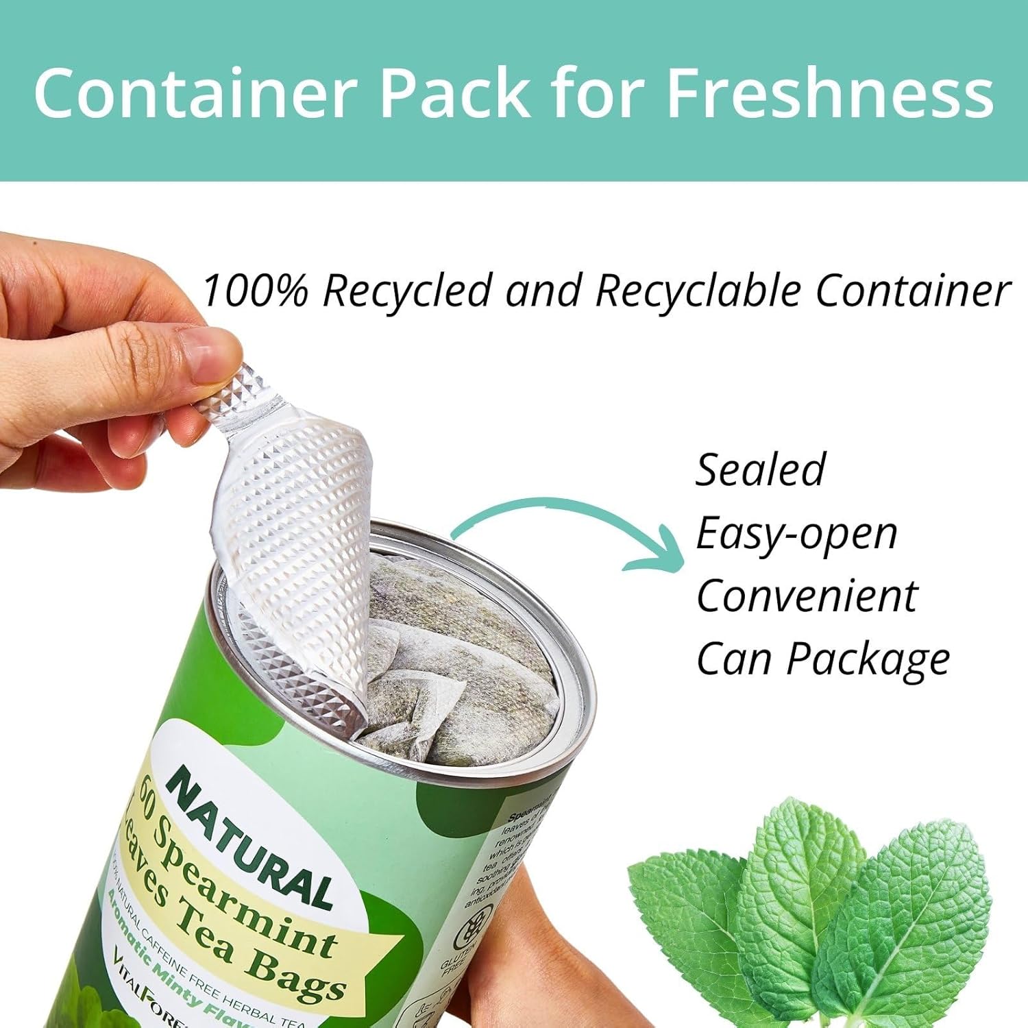 vitalforest-premium-dried-spearmint-leaves-tea-bags---60-count-canister-pack---refreshing-minty-herbal-tea---caffeine-free---corn-fiber-bags-for-freshness-3
