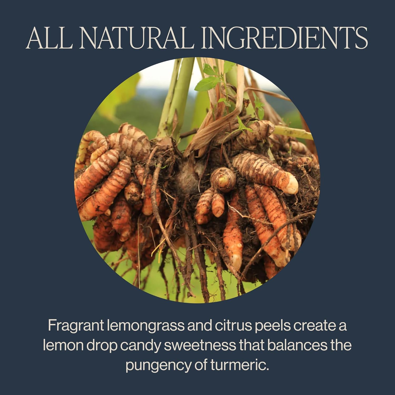 organic-turmeric-ginger-herbal-tea-sachets---caffeine-free-digestive-blend-with-spicy-ginger-citrus---90-sachet-bags-3