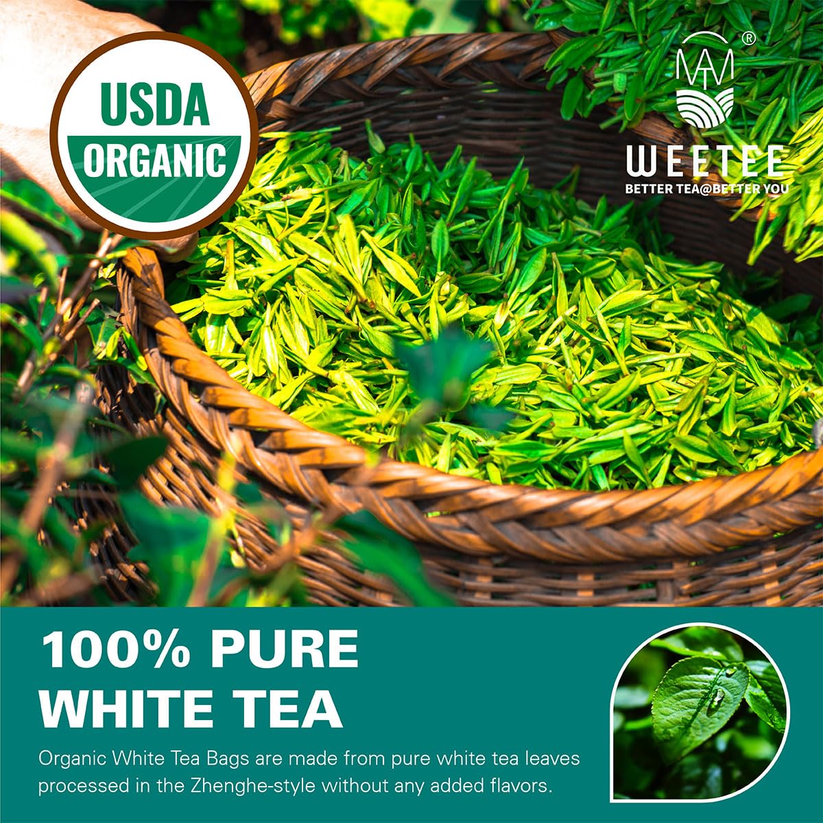 organic-white-tea-bags---100-count-usda-certified-pure-white-tea---mellow-smooth-flavor-for-hot-or-iced-tea-2