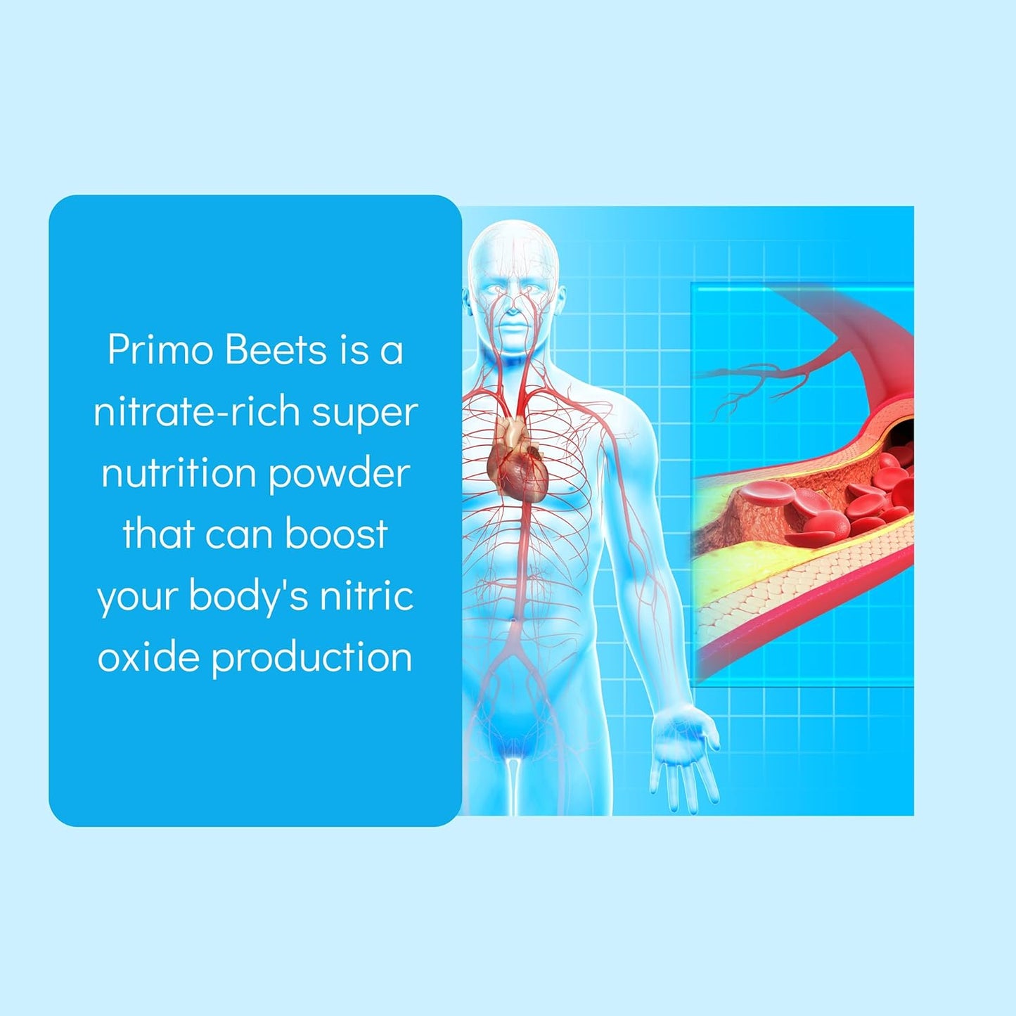 beet-root-powder-drink-mix-with-nitric-oxide-for-daily-nutrition---ginger-turmeric---support-circulation---blueberry-flavor---30-servings-2