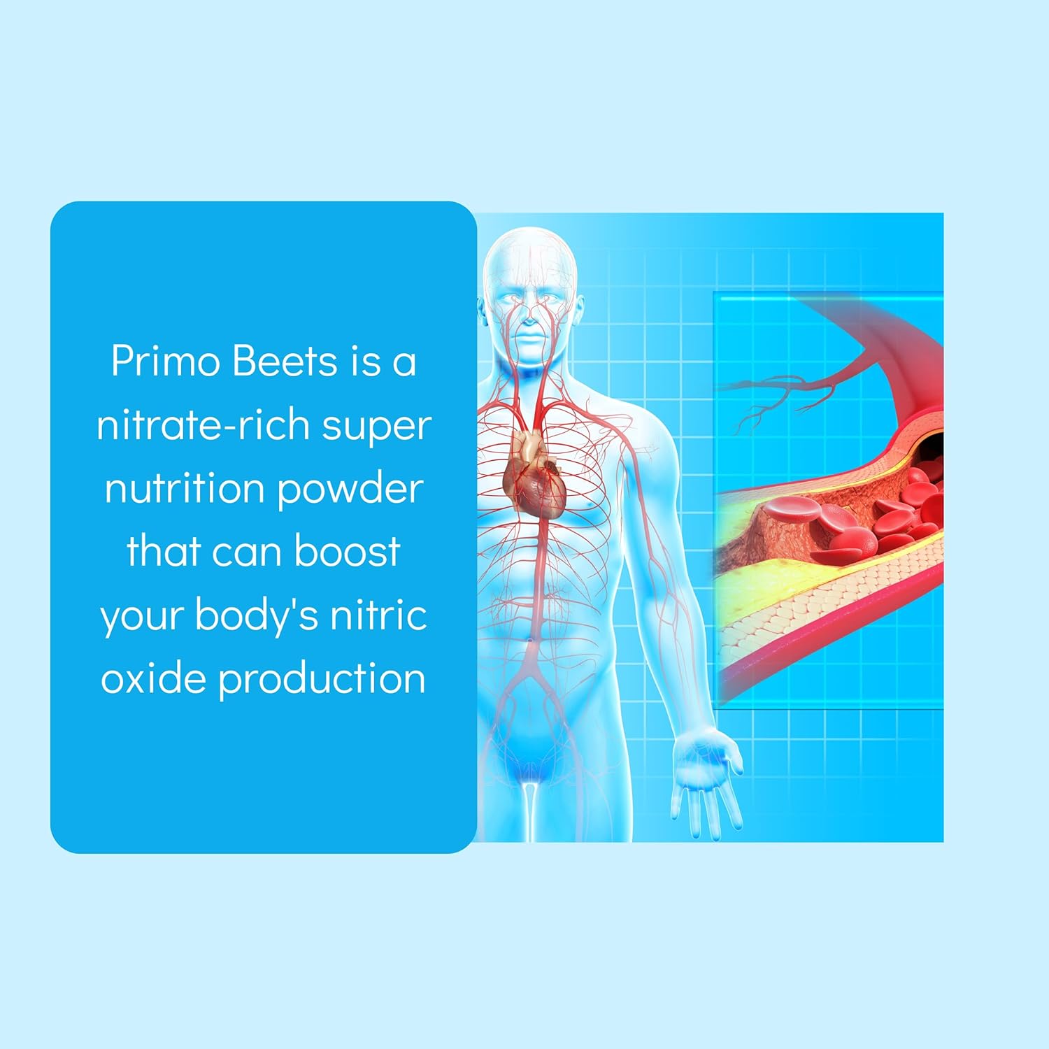 beet-root-powder-drink-mix-with-nitric-oxide-for-daily-nutrition---ginger-turmeric---support-circulation---blueberry-flavor---30-servings-2