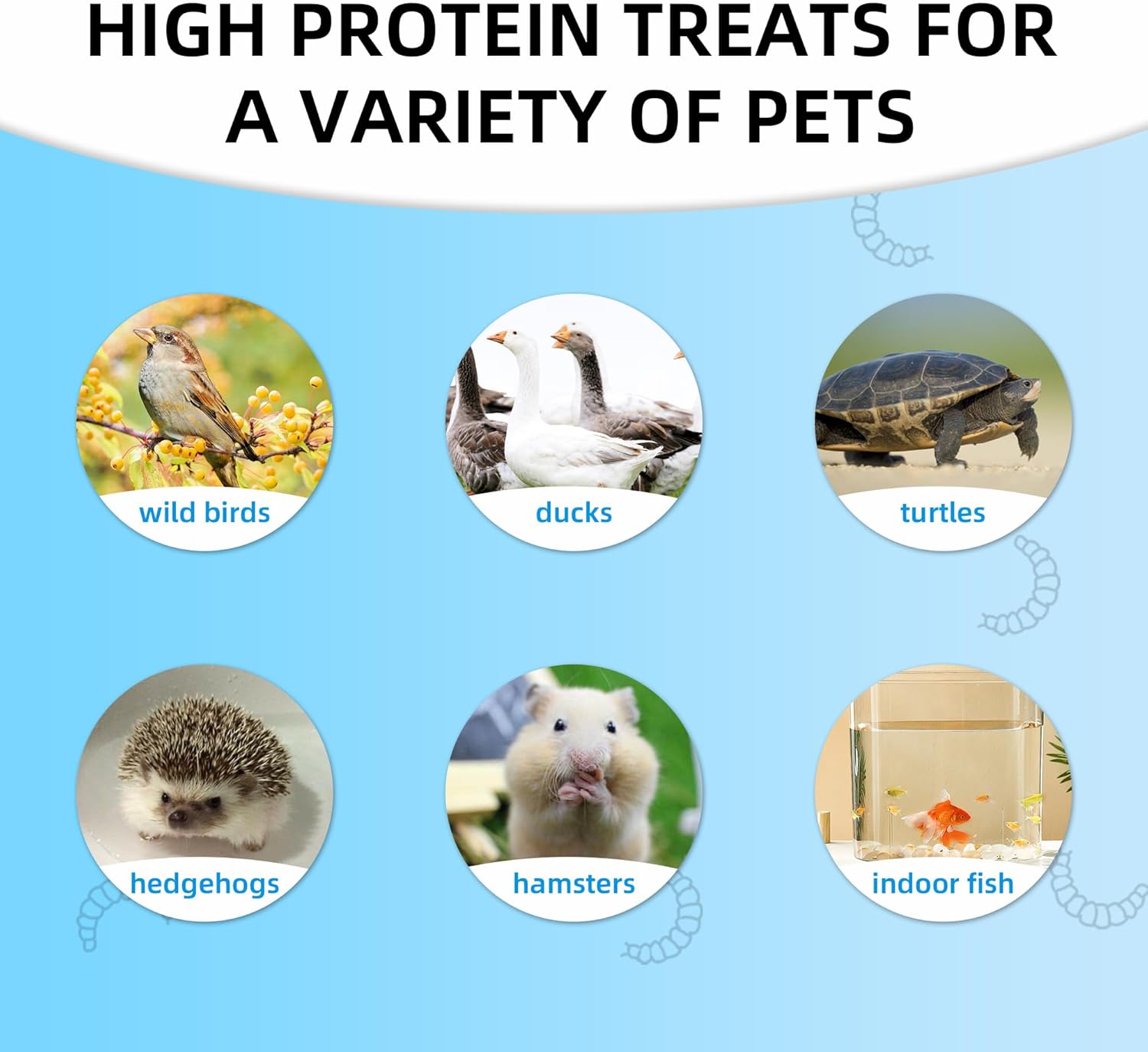 5lb-dried-black-soldier-fly-larvae---100-natural-non-gmo-chicken-feed-with-more-calcium-than-mealworms-6