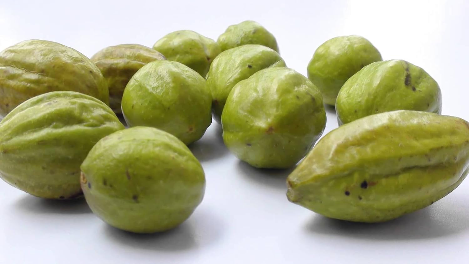 organic-haritaki-powder-usda-certified-organic---12-pound---terminalia-chebula---detox-rejuvenate-boost-brain-function-vitality-6