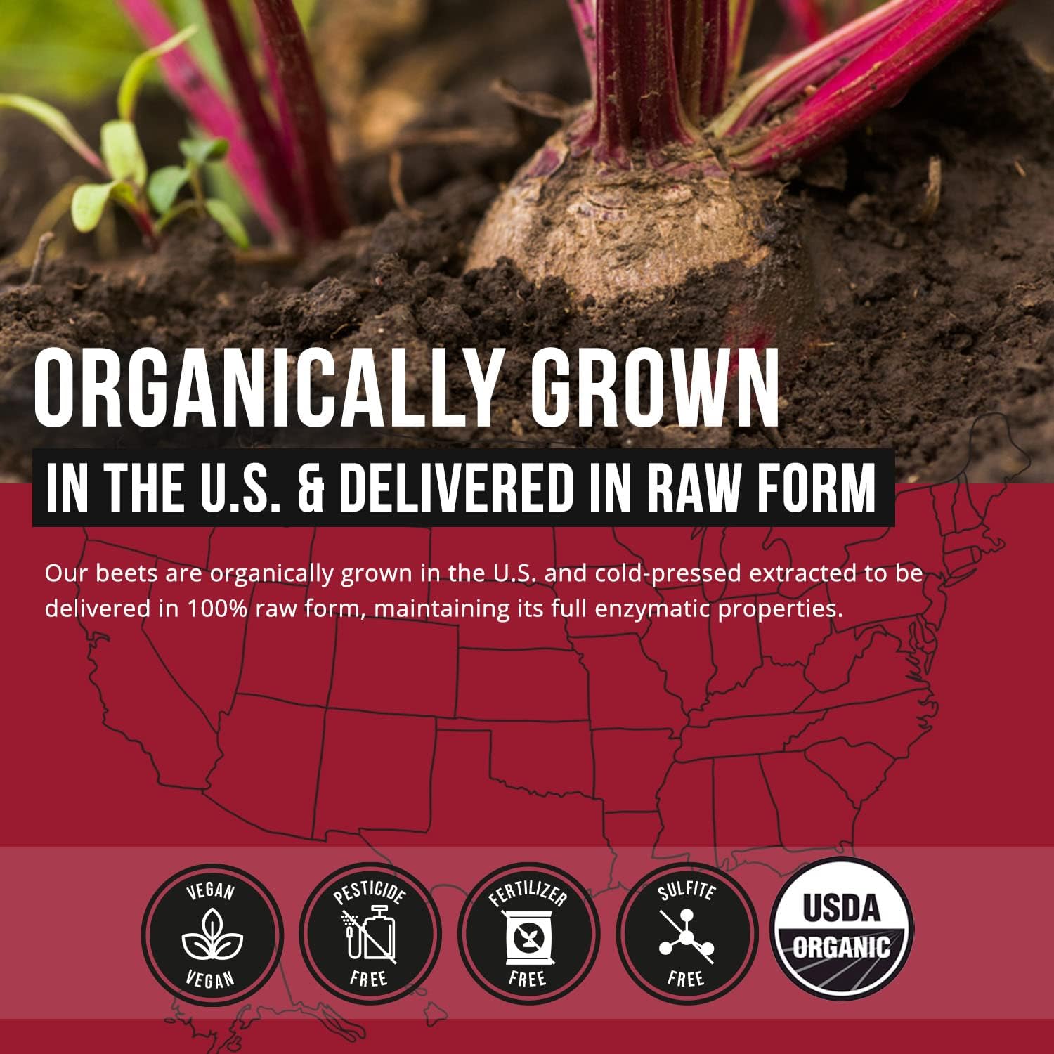 organic-beetroot-juice-powder---201-concentrate-cold-pressed-usa-grown---nitric-oxide-circulation-support---50-servings-8