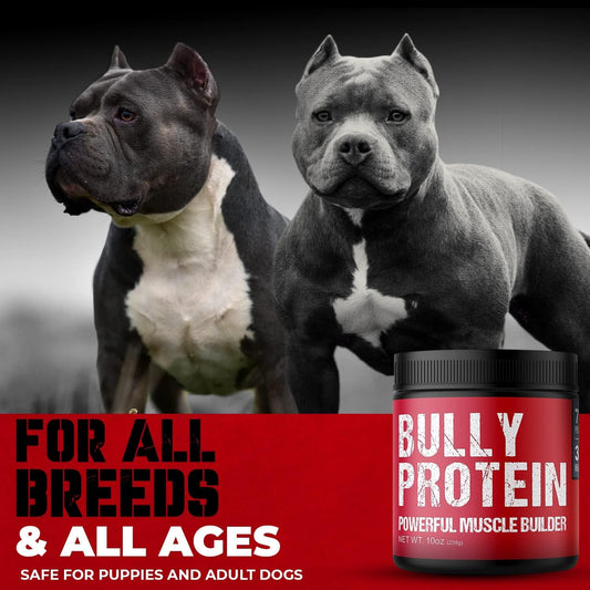 mbf-supplements-bulk-em-up-real-meat-bully-protein-powder-for-dogs-283mg-pure-protein-muscle-bulker-daily-protein-for-pitbulls-fast-gains-30-day-supply-60-servings-1
