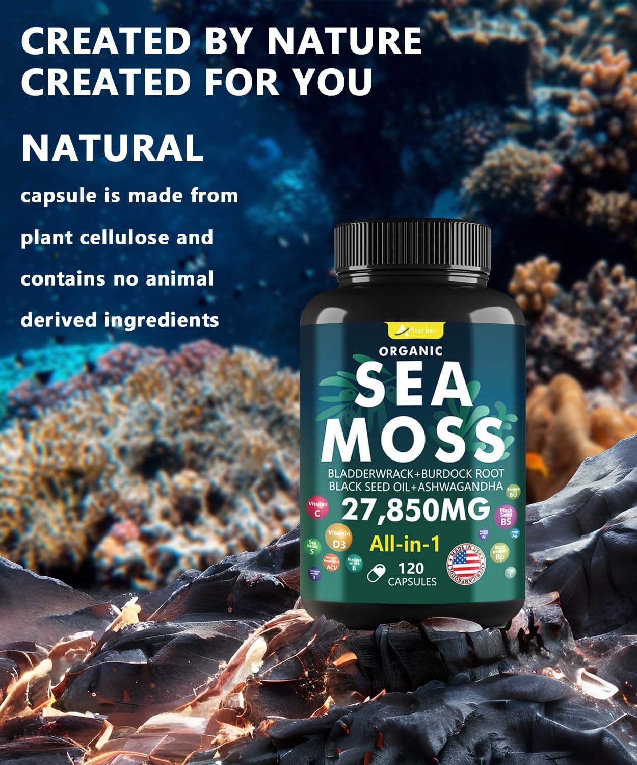 120-capsules-aiorber-sea-moss-complex-with-black-seed-oil-ashwagandha-ginger-vitamins-c-d3---advanced-seamoss-pills-for-immune-support---wild-sea-moss-capsules-made-in-usa-6