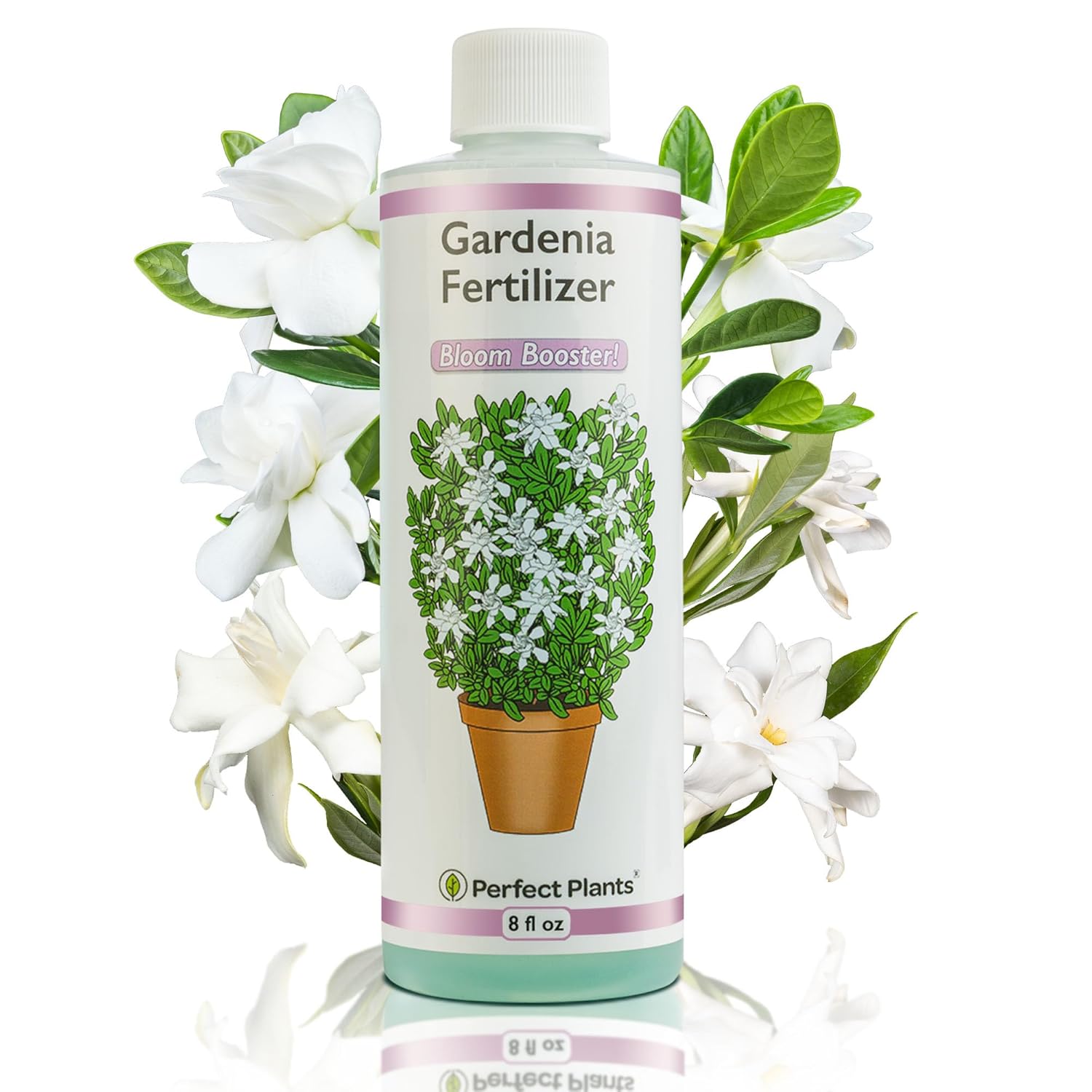 8oz-gardenia-liquid-fertilizer-for-indooroutdoor-flowering-plants---tailored-bloom-boosting-plant-food-by-perfect-plants-1