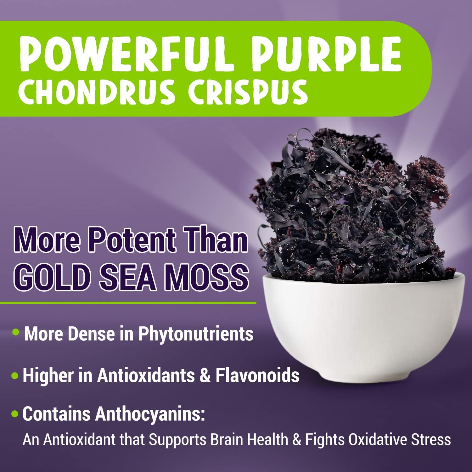 organic-purple-sea-moss-capsules---extra-strength-minerals-60-ct---wild-harvested-chondrus-crispus-pills---compare-to-irish-seamoss-capsule-2