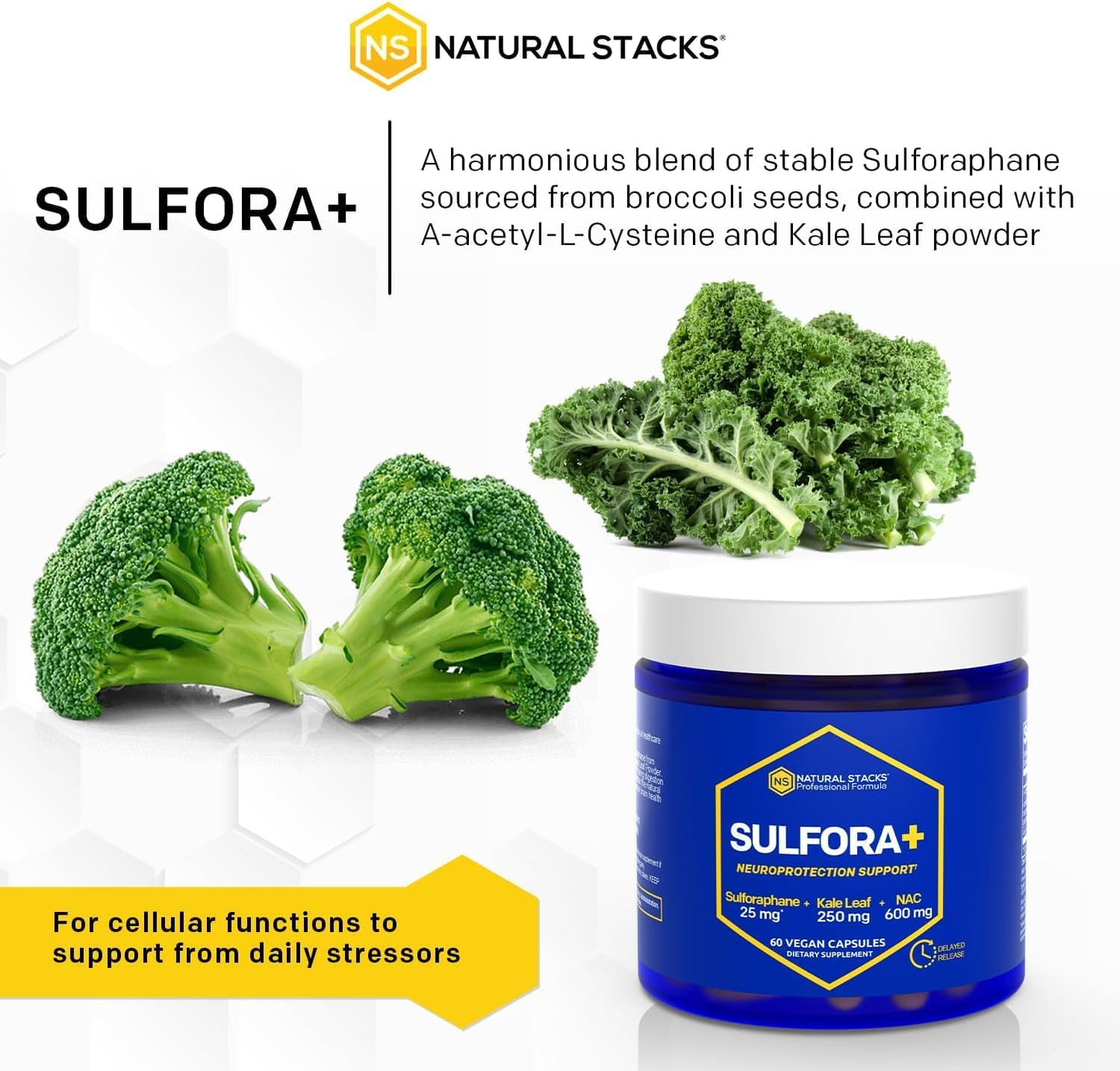 organic-nac-supplement-with-sulforaphane-kale-powder---brain-health-antioxidants---60-capsules-5